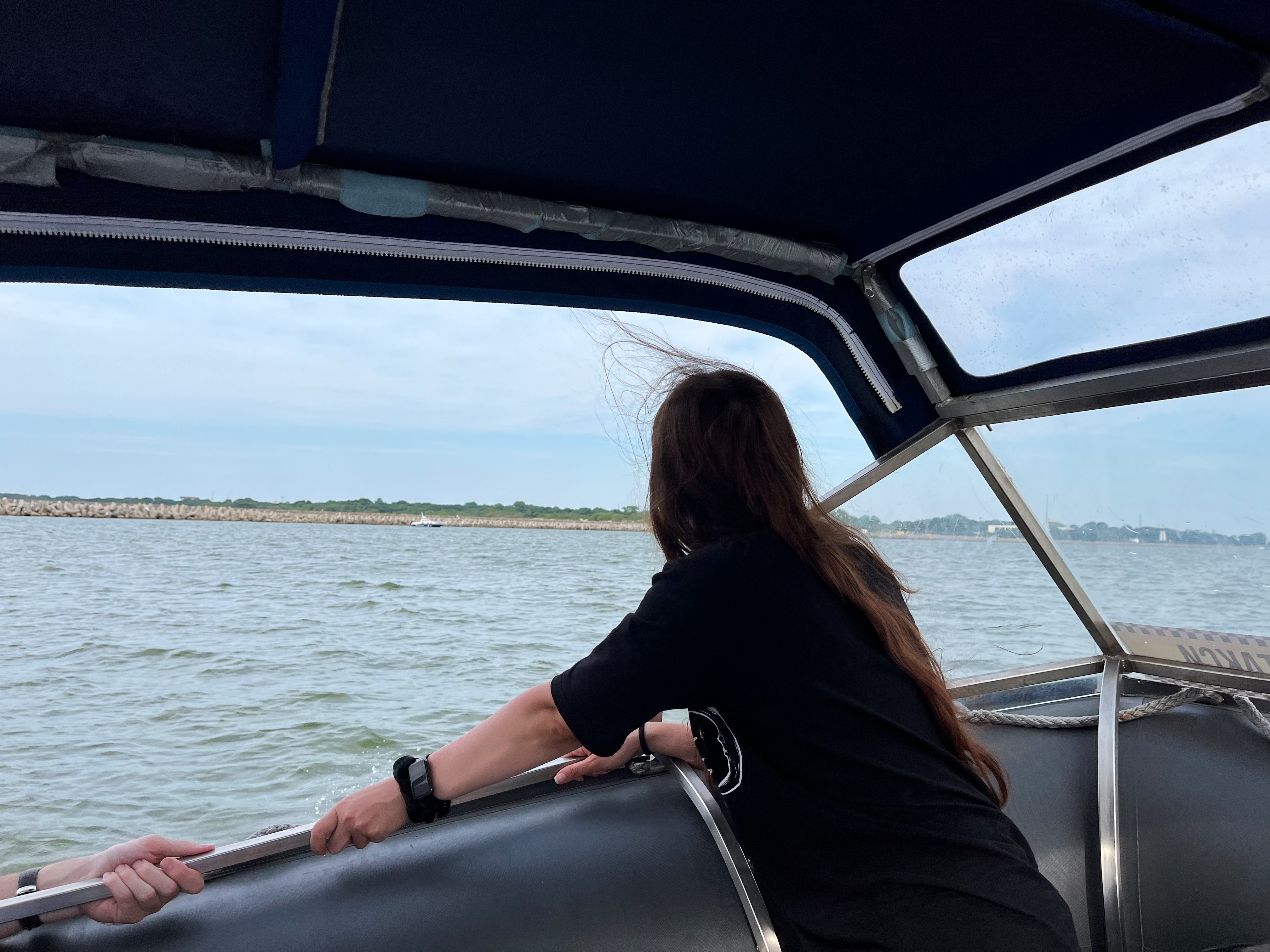 Другой Калининград (29/46)