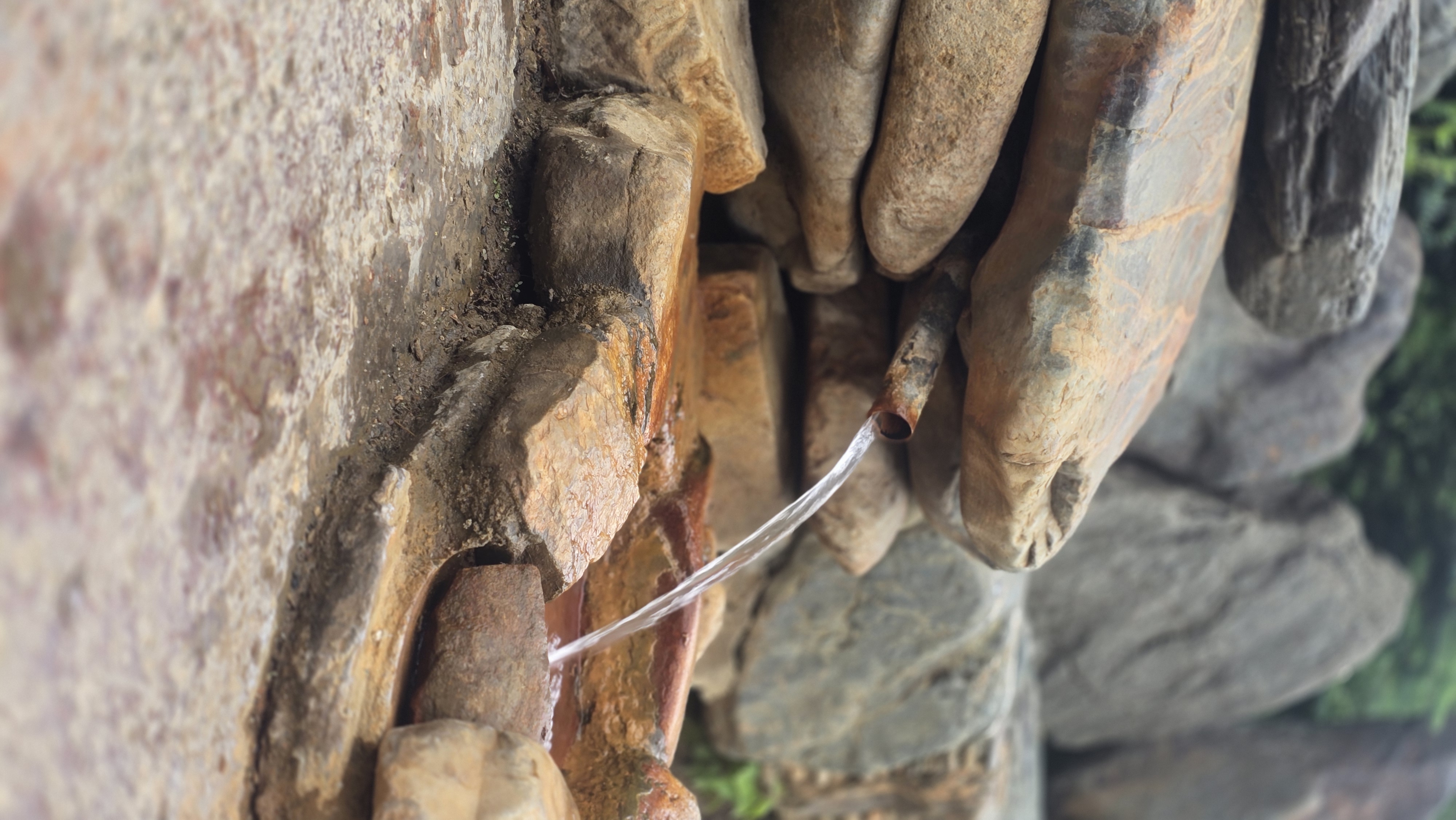 В горы с детьми (9/26)