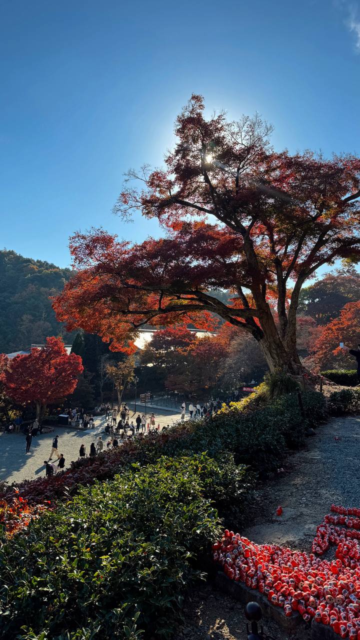 Знакомство с Японией (10/45)