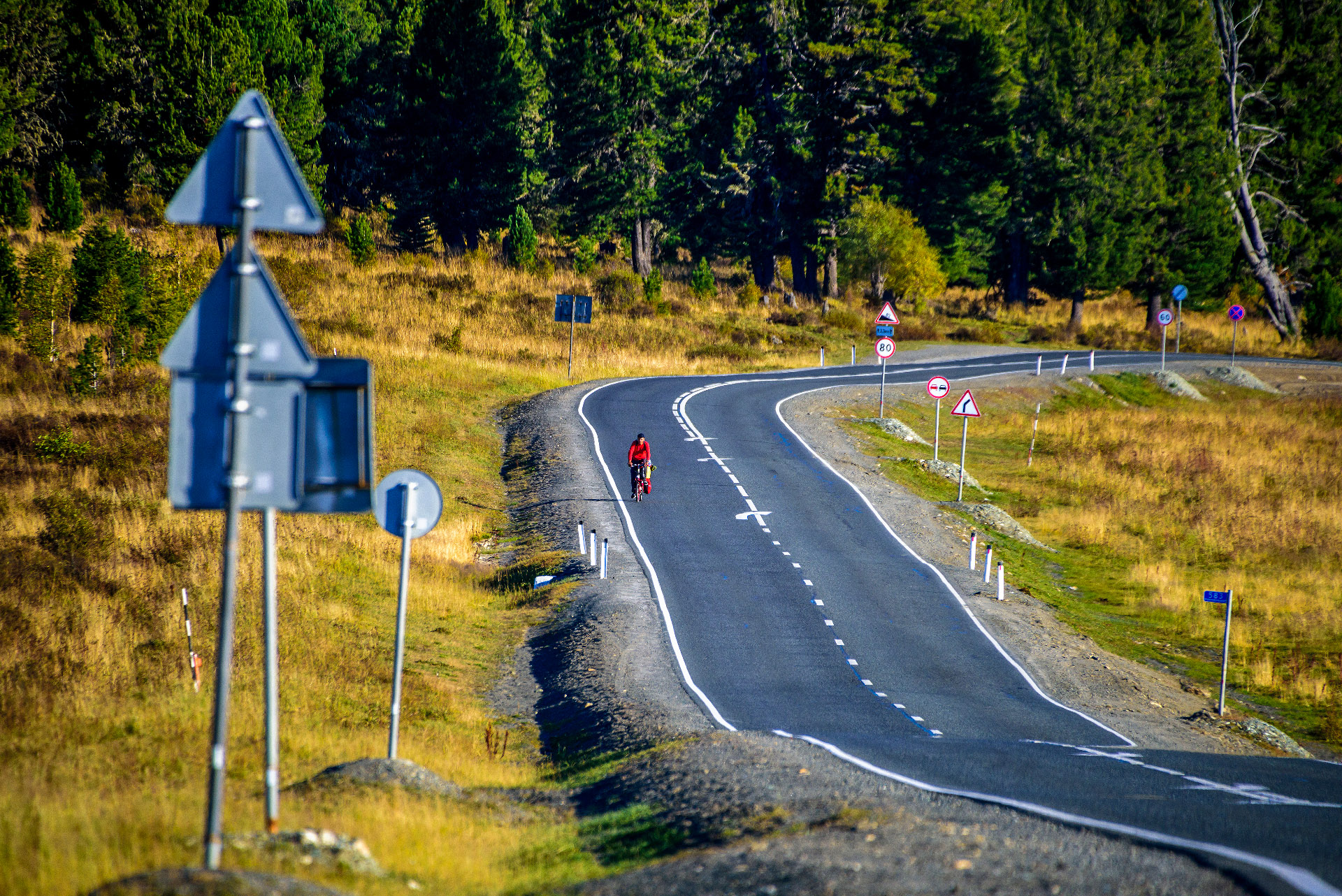 Алтай. Чуйский тракт и Телецкое озеро. (25/47)