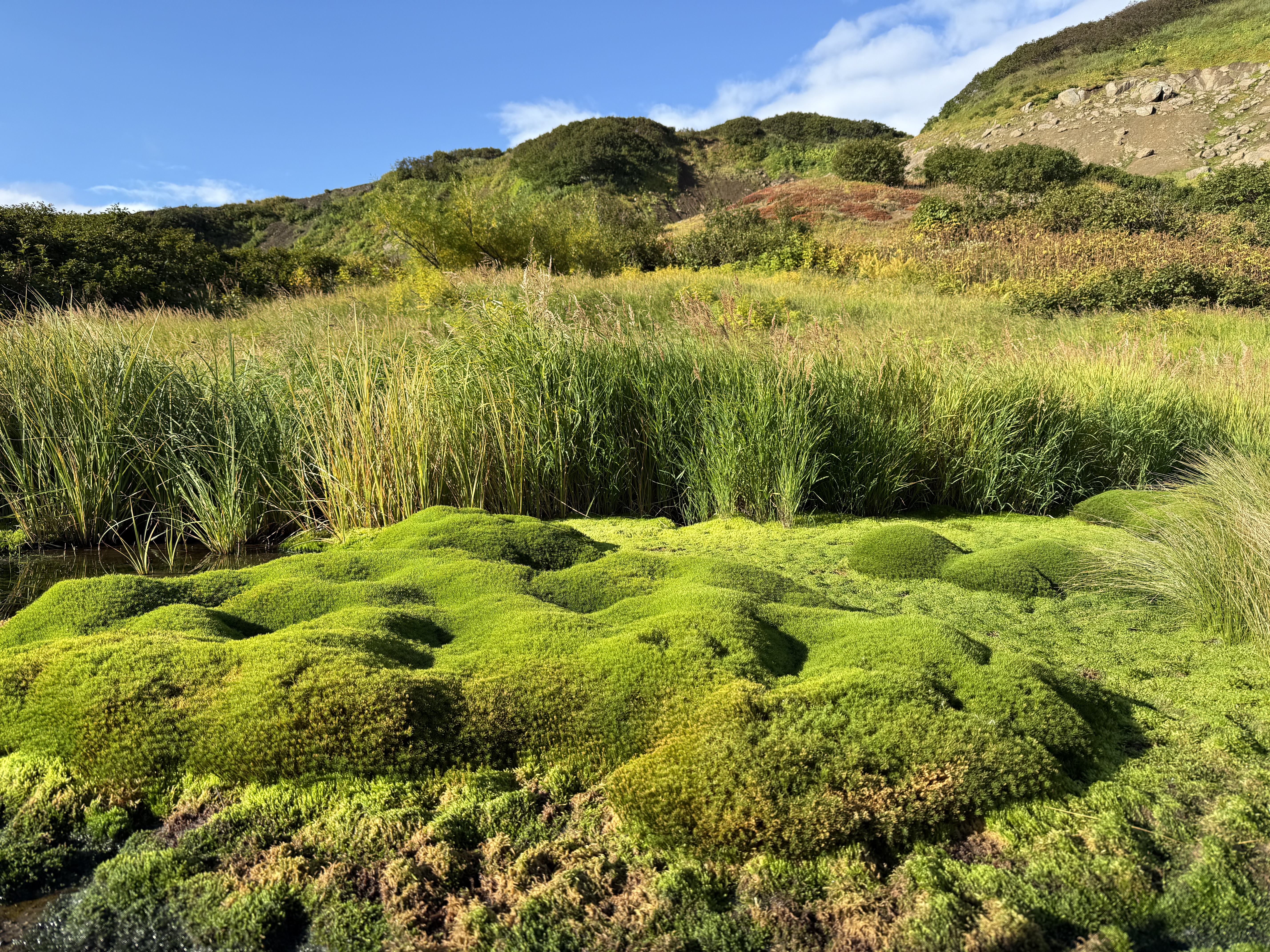 Дачные источники: Малая долина гейзеров (тур для компаний 1-6 чел., одна цена)