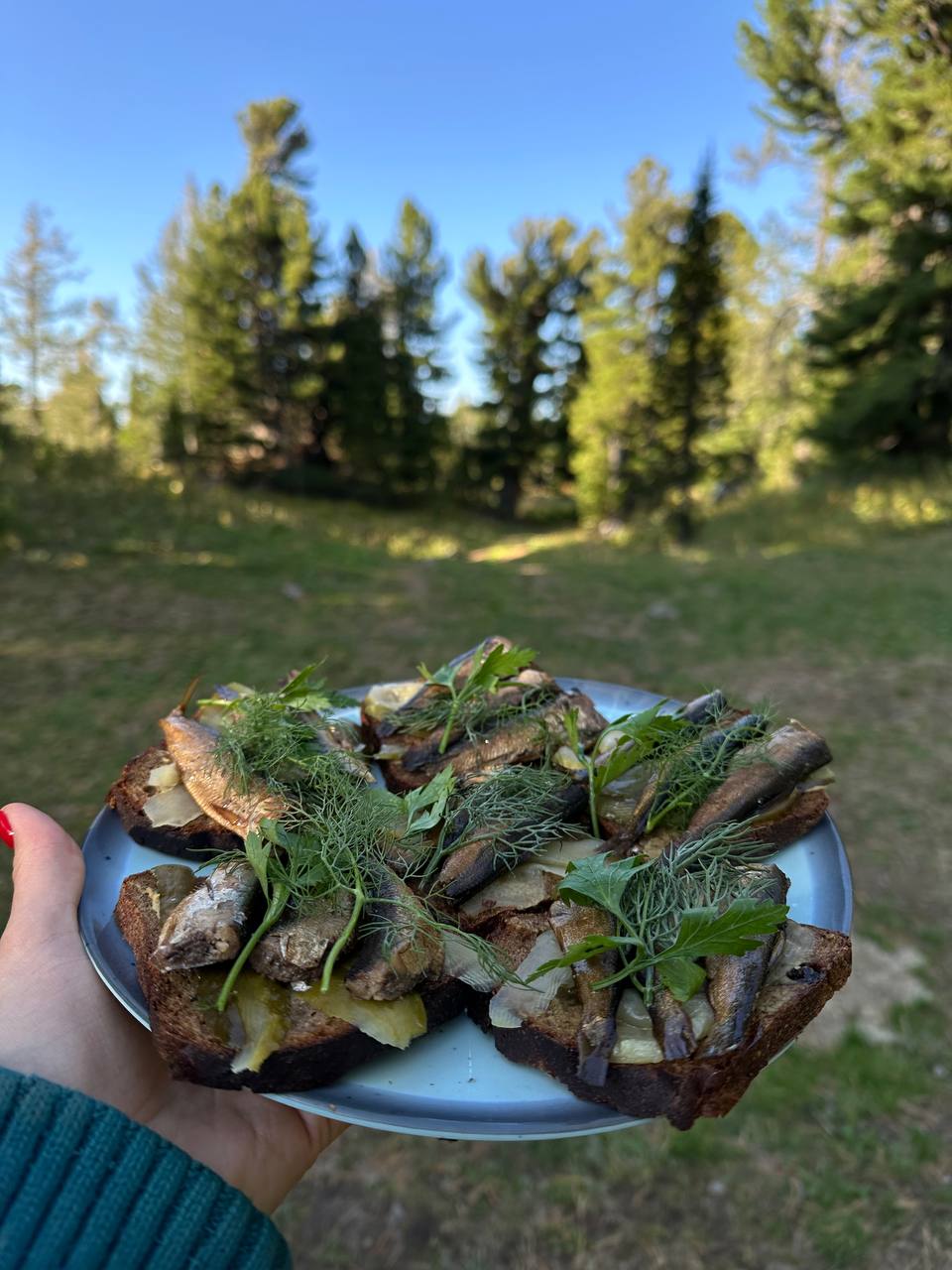 Молодежный конный поход по Алтаю (13/49)