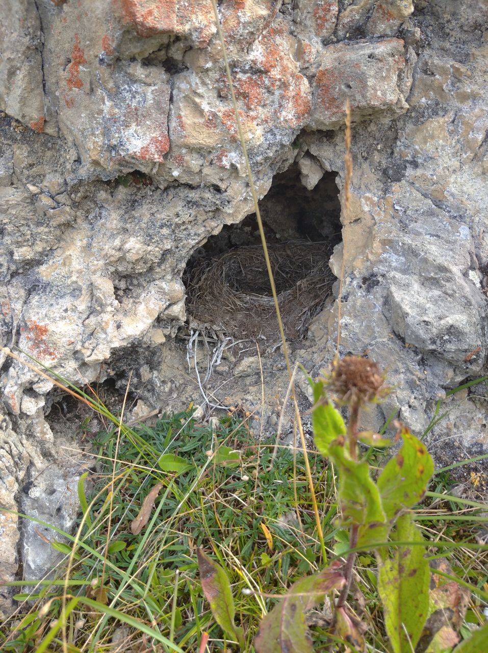 Кавказ - новые горизонты ( со скидкой!!,  все включено , 6 дней) (67/107)