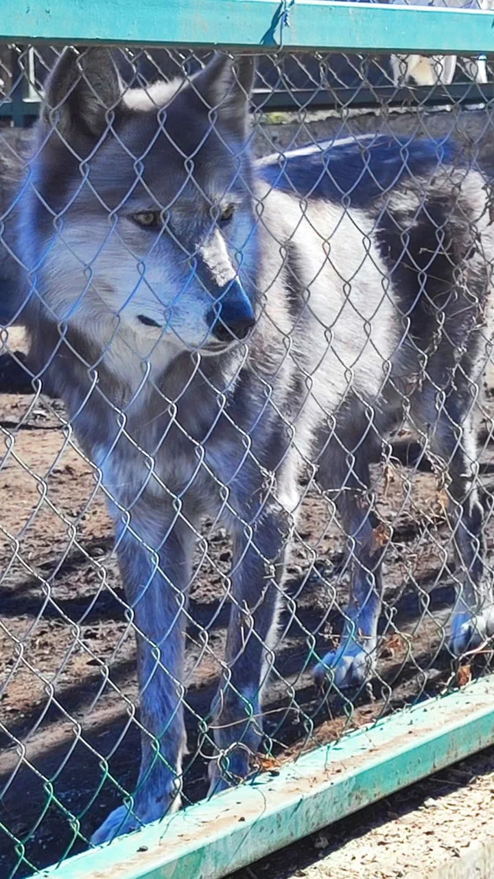 В горы с детьми (22/26)