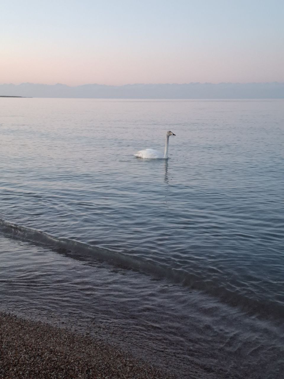 Киргизия вокруг Иссык-Куля (1/10)