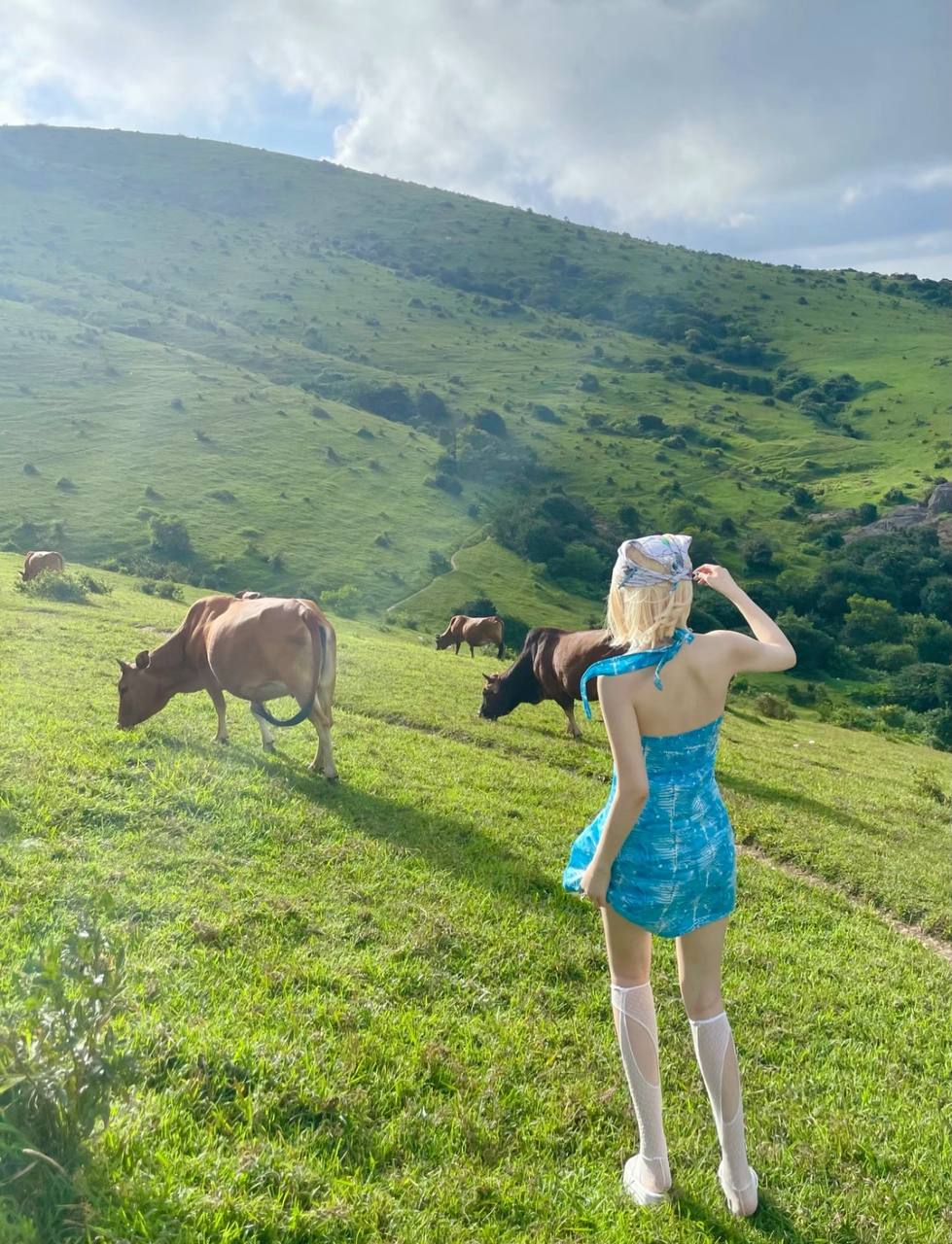 Конная разведка в Китай (12/38)