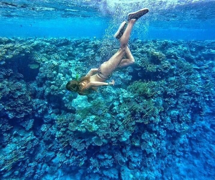 Индивидуальная экскурсия в заповедник рас Мухамад с обедом море продукты на пляже (3/28)