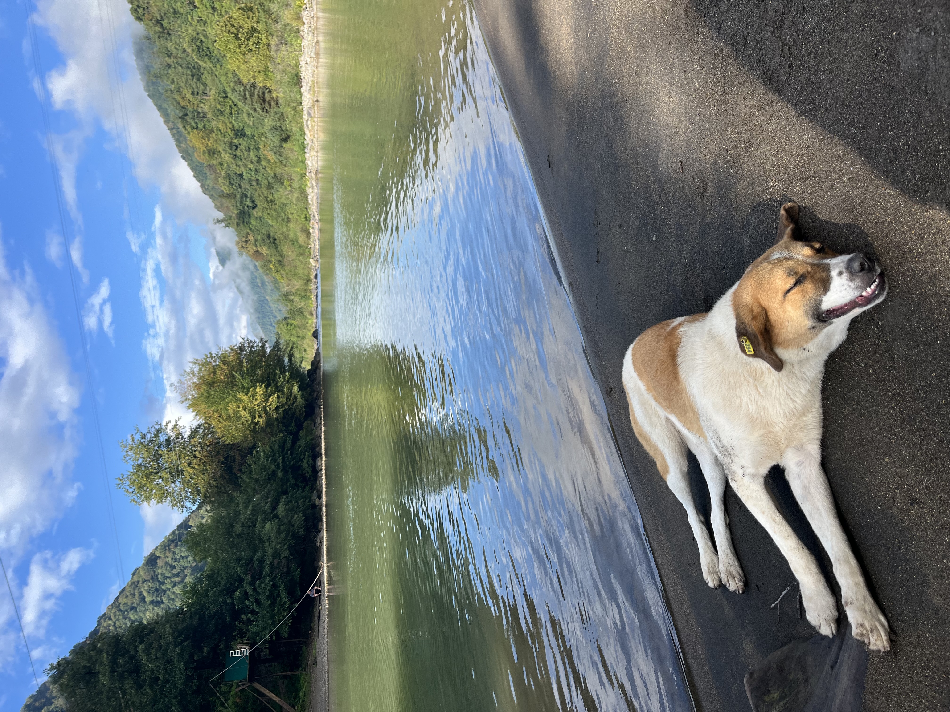 Комбинированный экскурсионный тур Тбилиси+Батуми Грузинская мозаика (11/18)