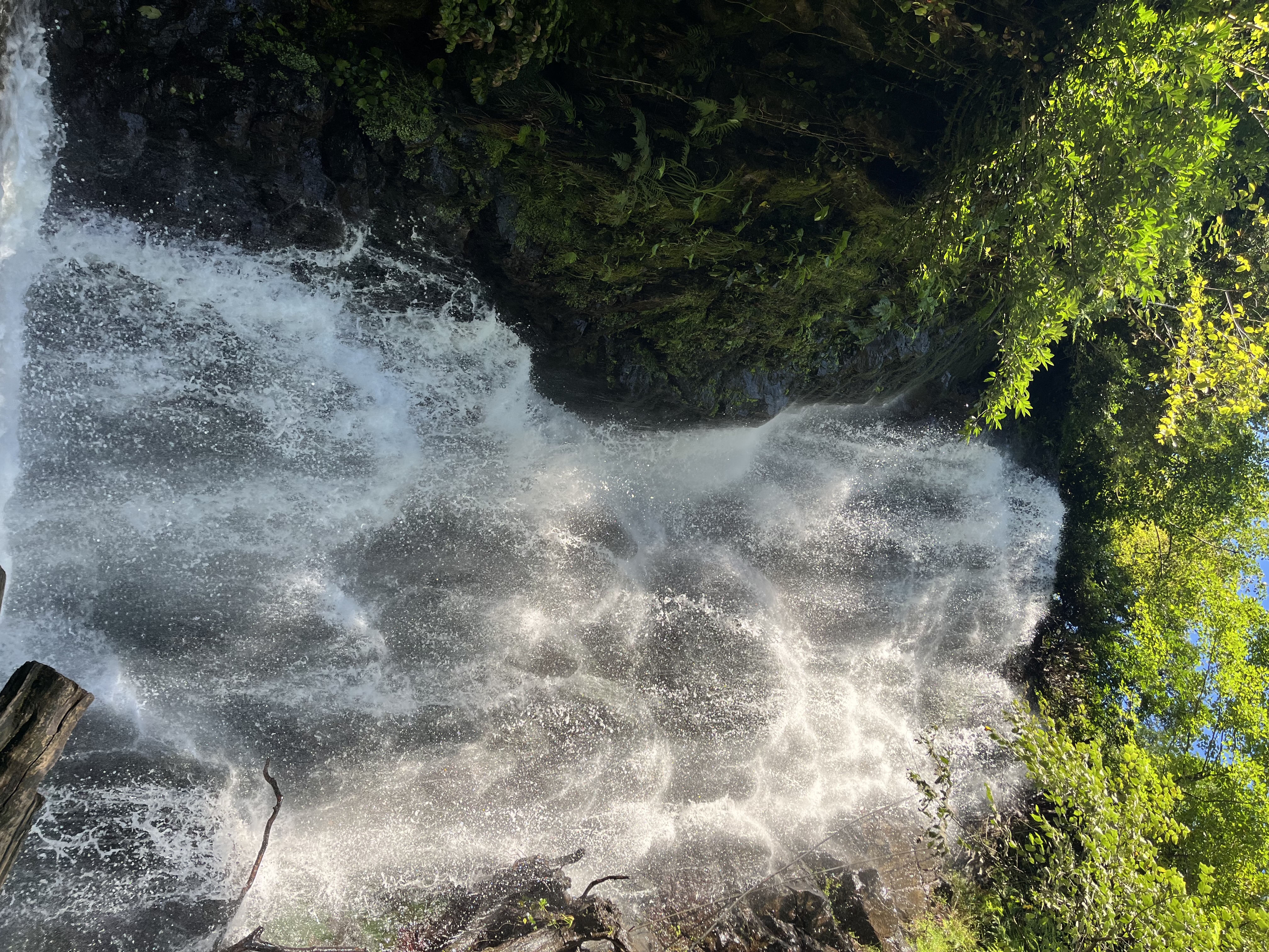 Комбинированный экскурсионный тур Тбилиси+Батуми Грузинская мозаика (12/18)
