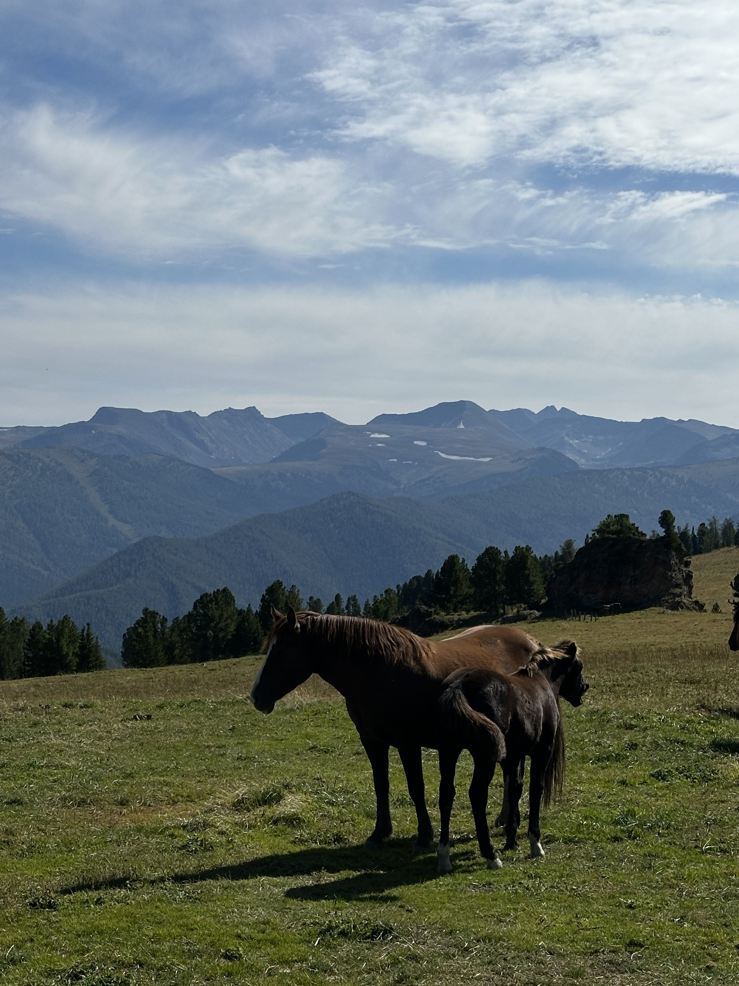 Молодежный конный поход по Алтаю (33/49)