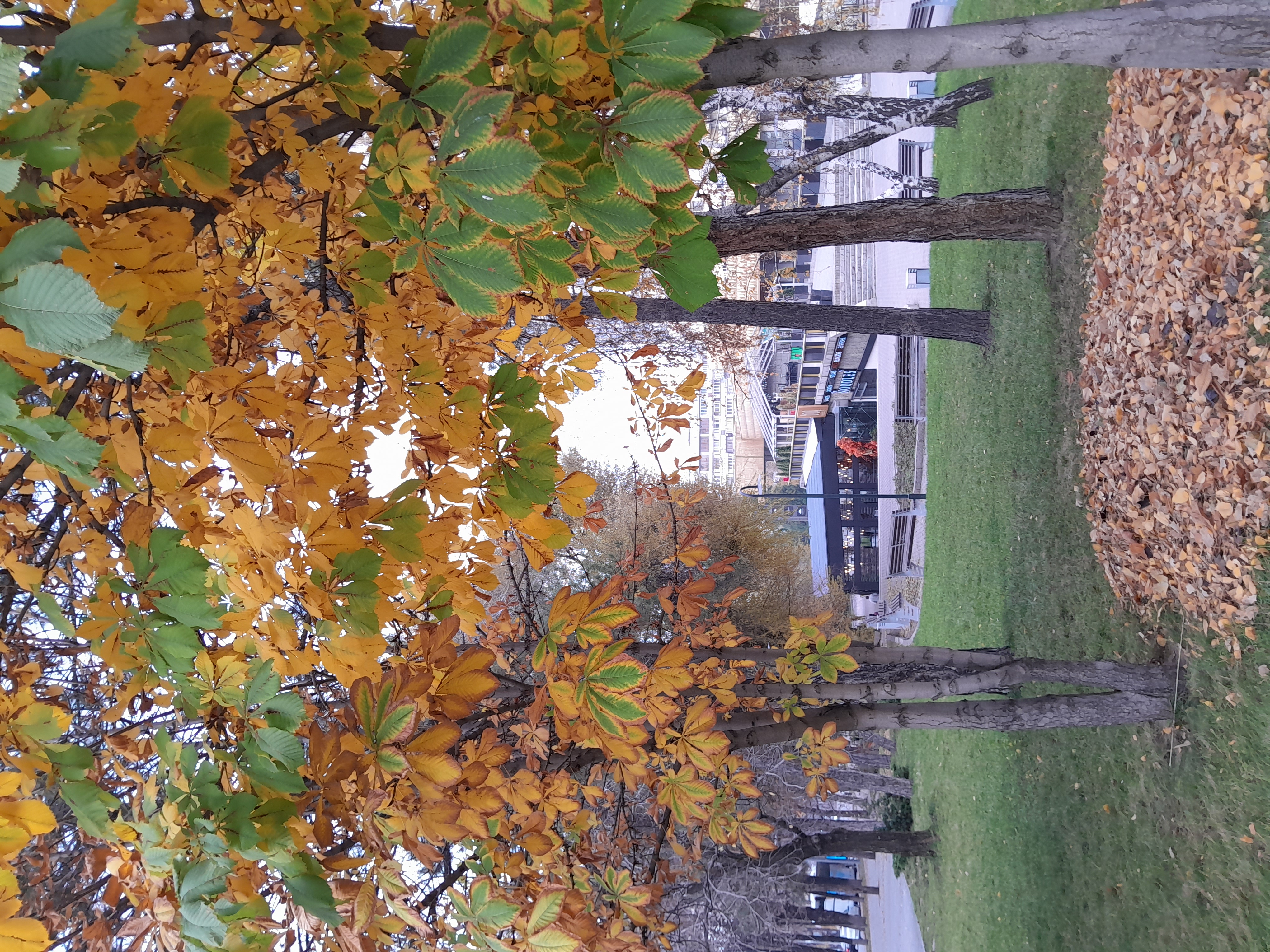 Экскурсия по проспекту Абая — история и современность Алматы. (27/31)