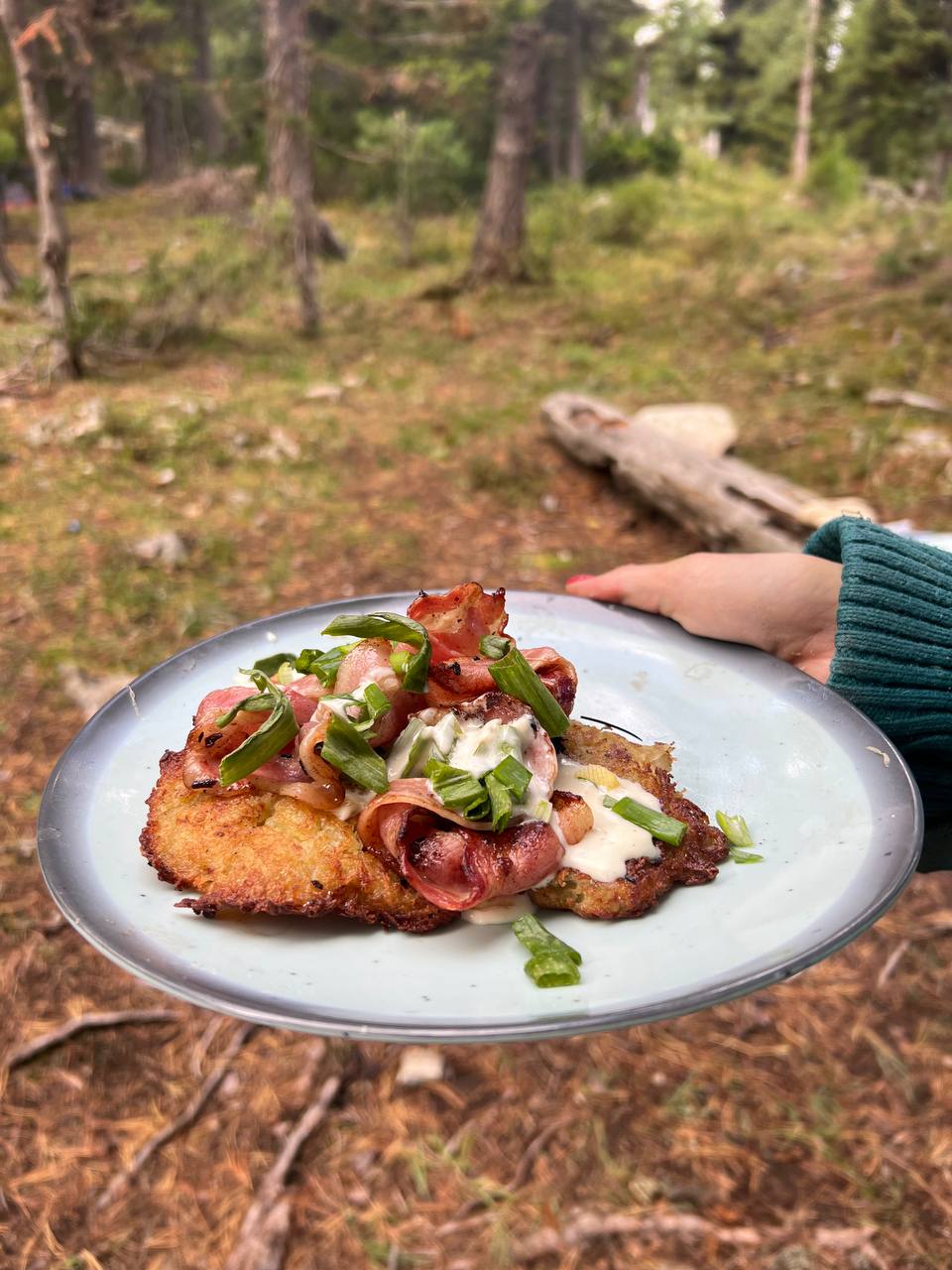 Молодежный конный поход по Алтаю (8/49)