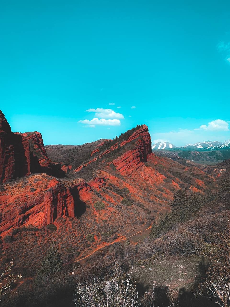 Киргизия вокруг Иссык-Куля (7/10)