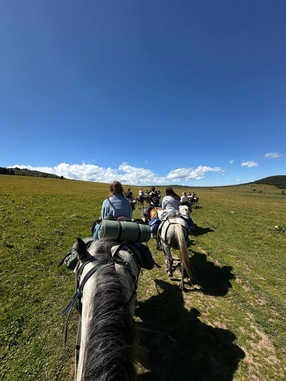 Молодежный конный поход по Алтаю (23/49)