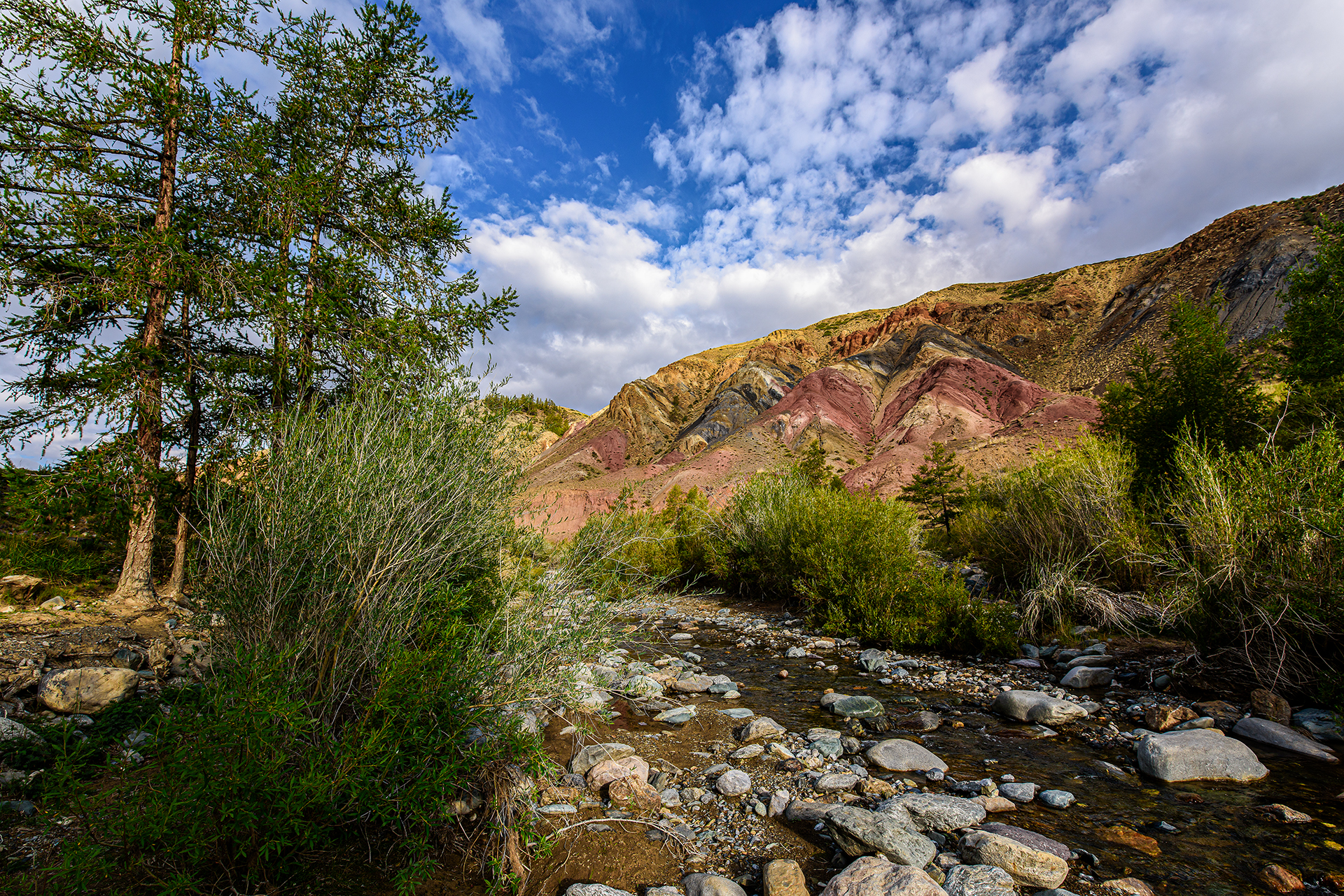 Алтай. Чуйский тракт и Телецкое озеро. (33/47)
