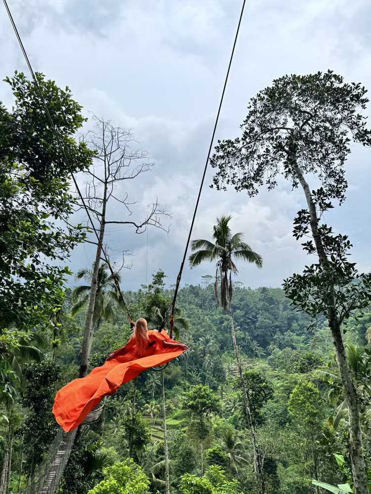 Индивидуальный тур Бали + Penida + Gili по цене группового (29/71)