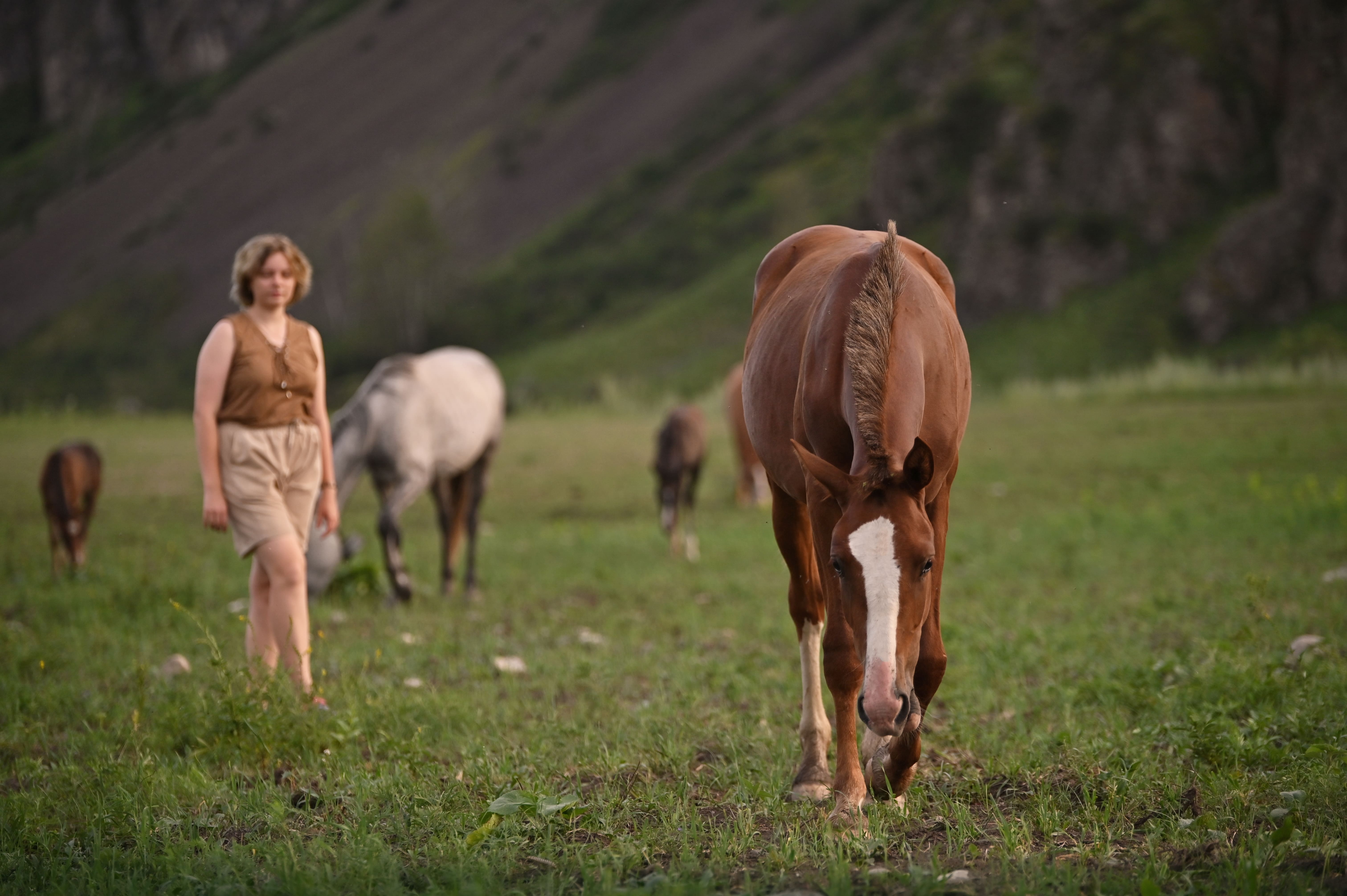 Молодежный конный поход по Алтаю (17/49)