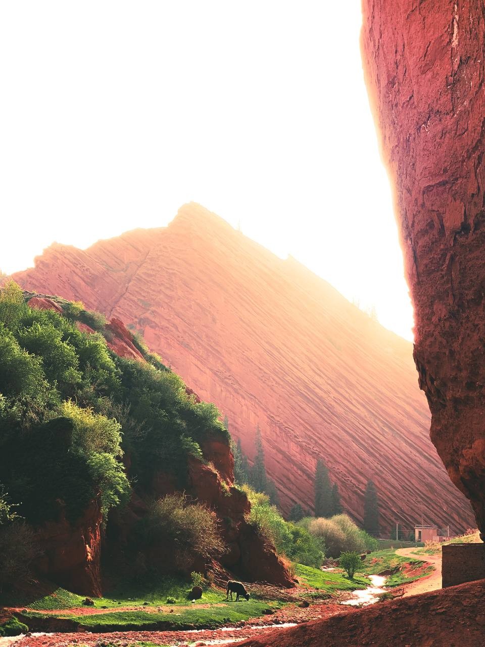 Киргизия вокруг Иссык-Куля (2/10)