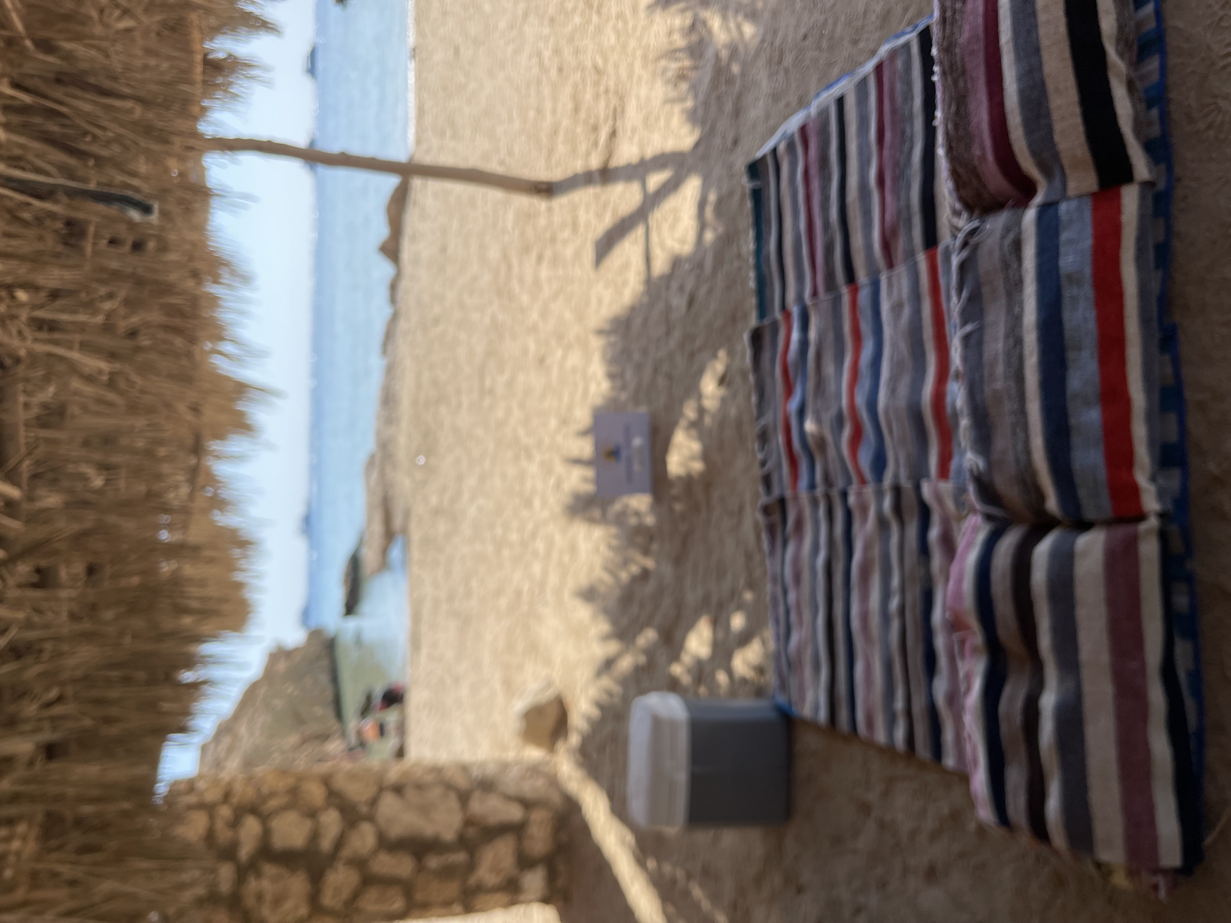 Индивидуальная экскурсия в заповедник рас Мухамад с обедом море продукты на пляже (2/28)