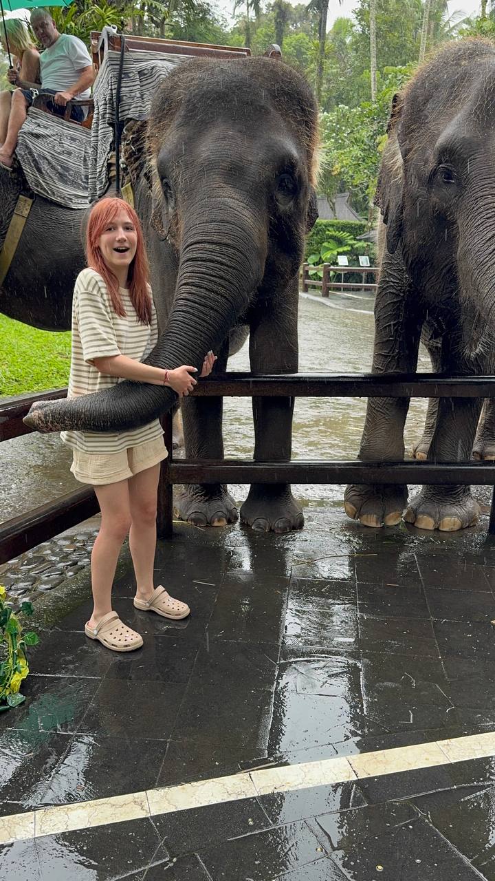 Индивидуальный тур Бали + Penida + Gili по цене группового (18/71)