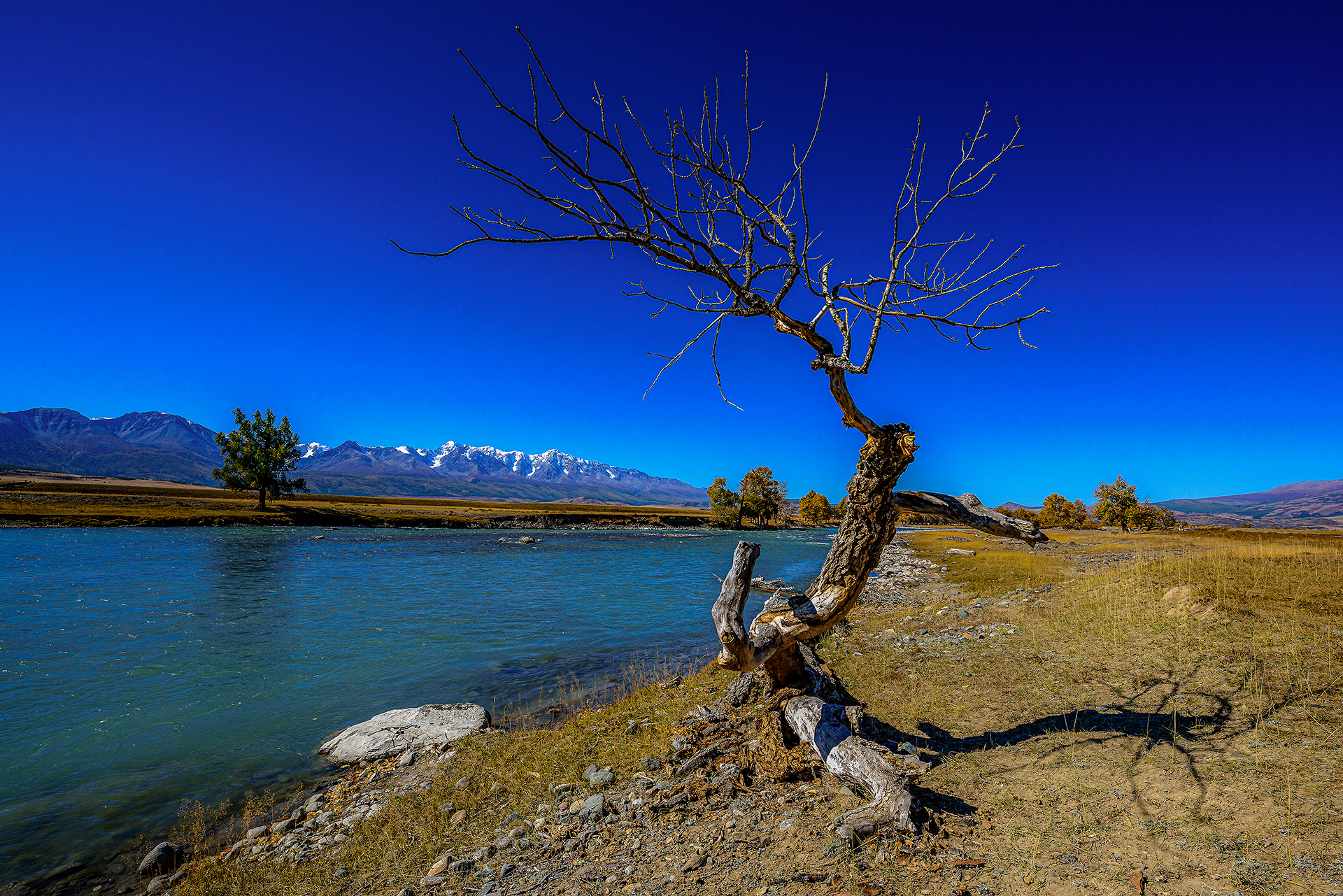 Алтай. Чуйский тракт и Телецкое озеро. (30/47)