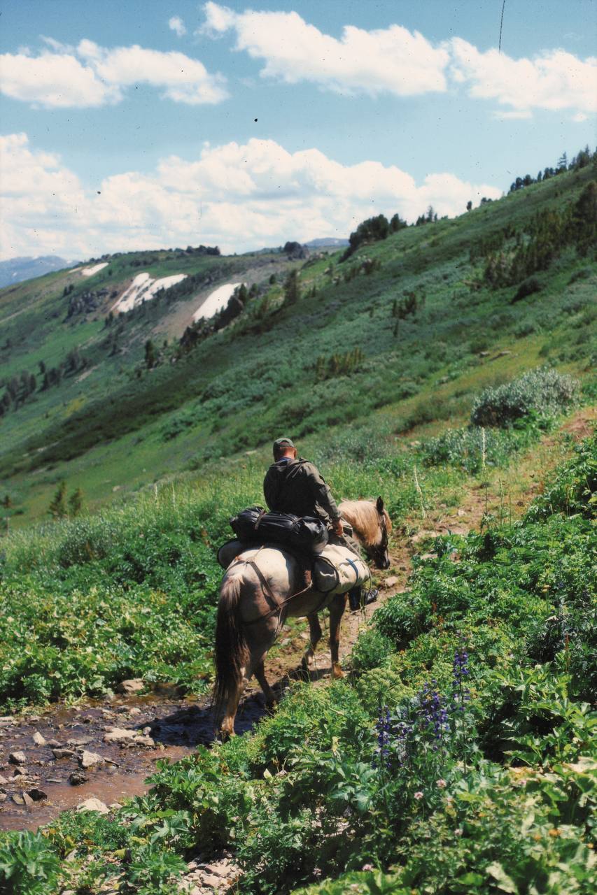 Молодежный конный поход по Алтаю (38/49)