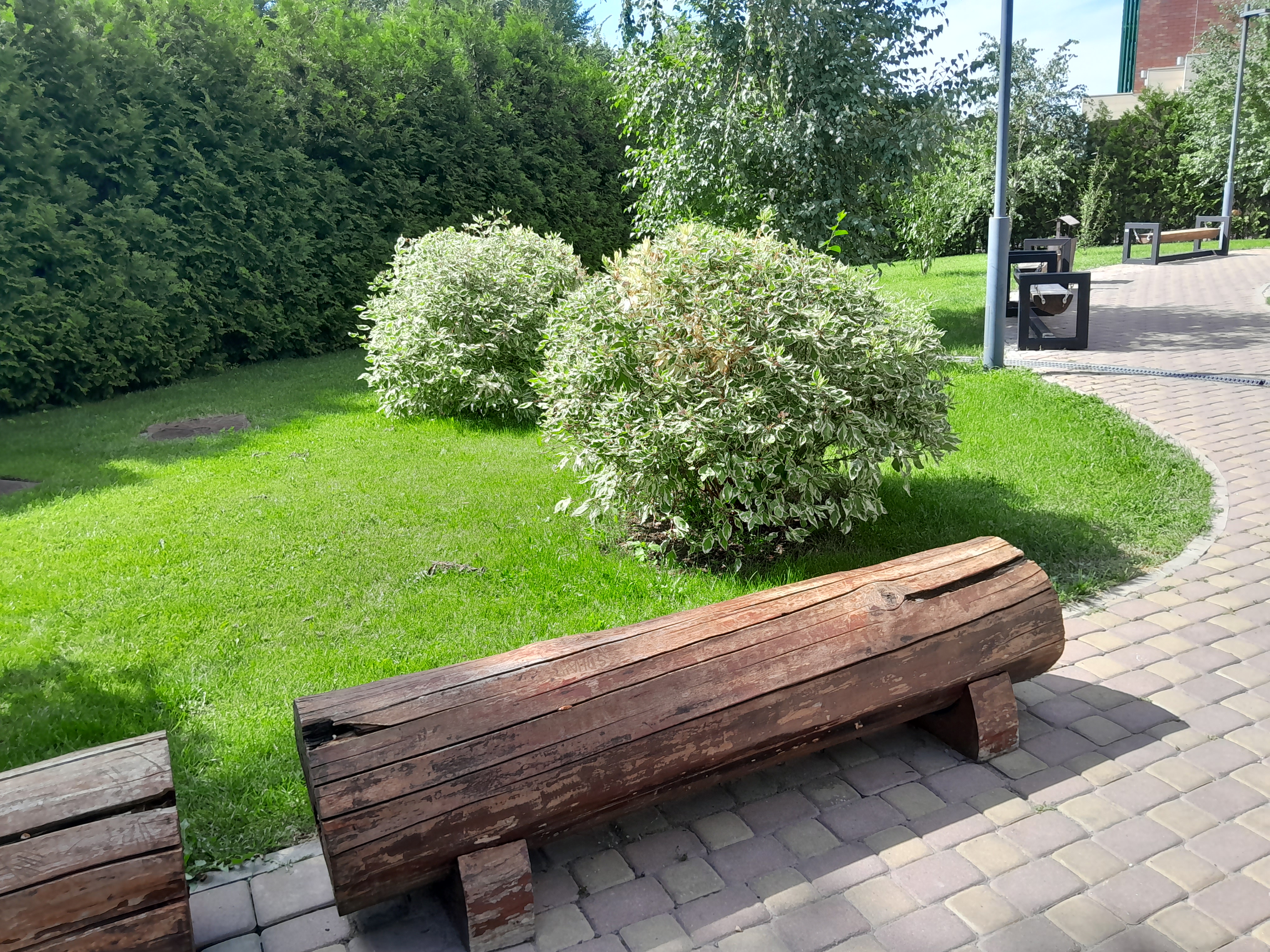 Экскурсия по проспекту Абая — история и современность Алматы. (6/31)