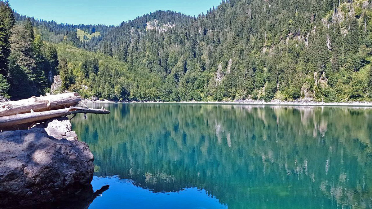Треккинг в горной Абхазии