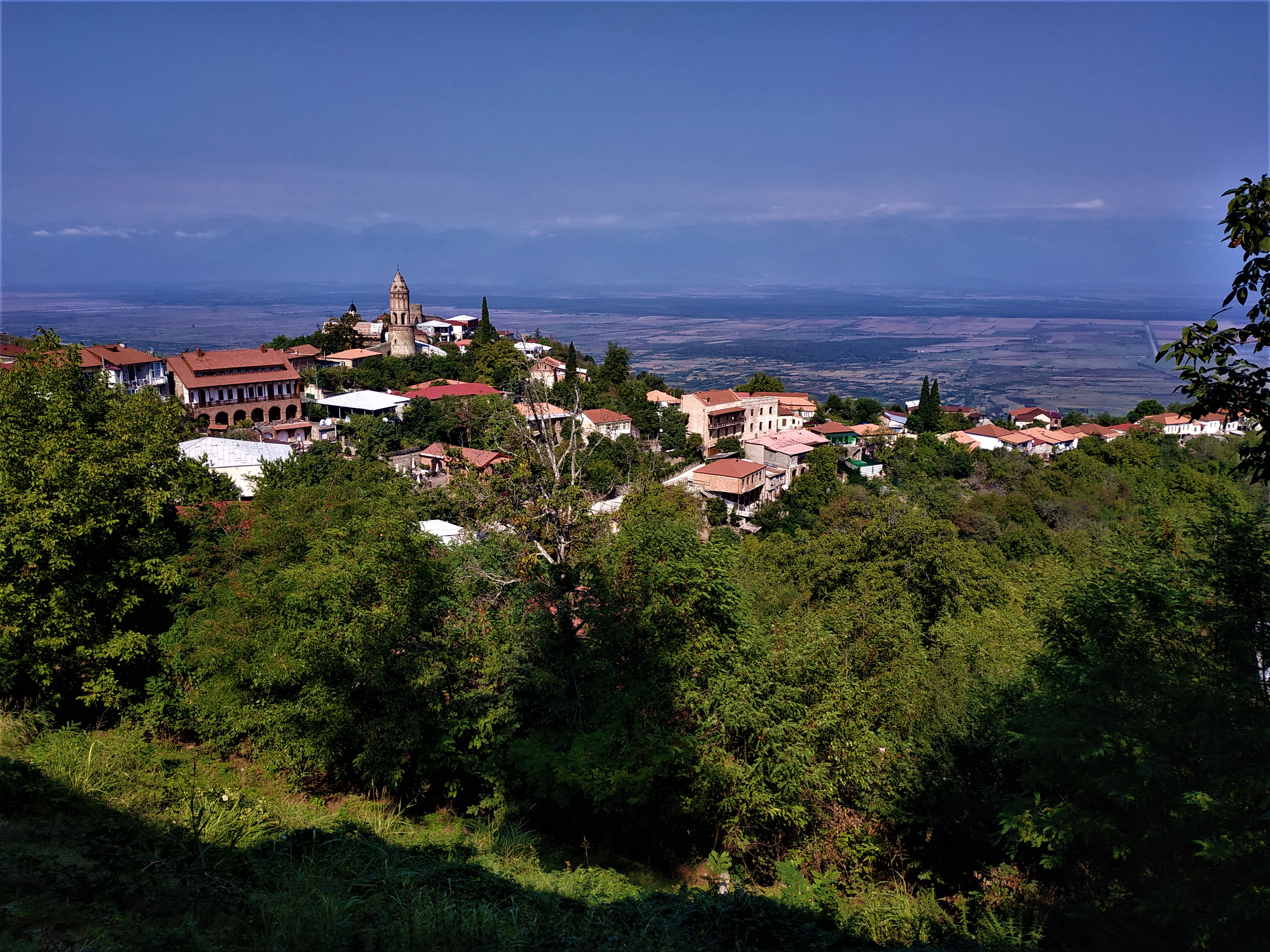 Мая Твая Грузия (19/26)