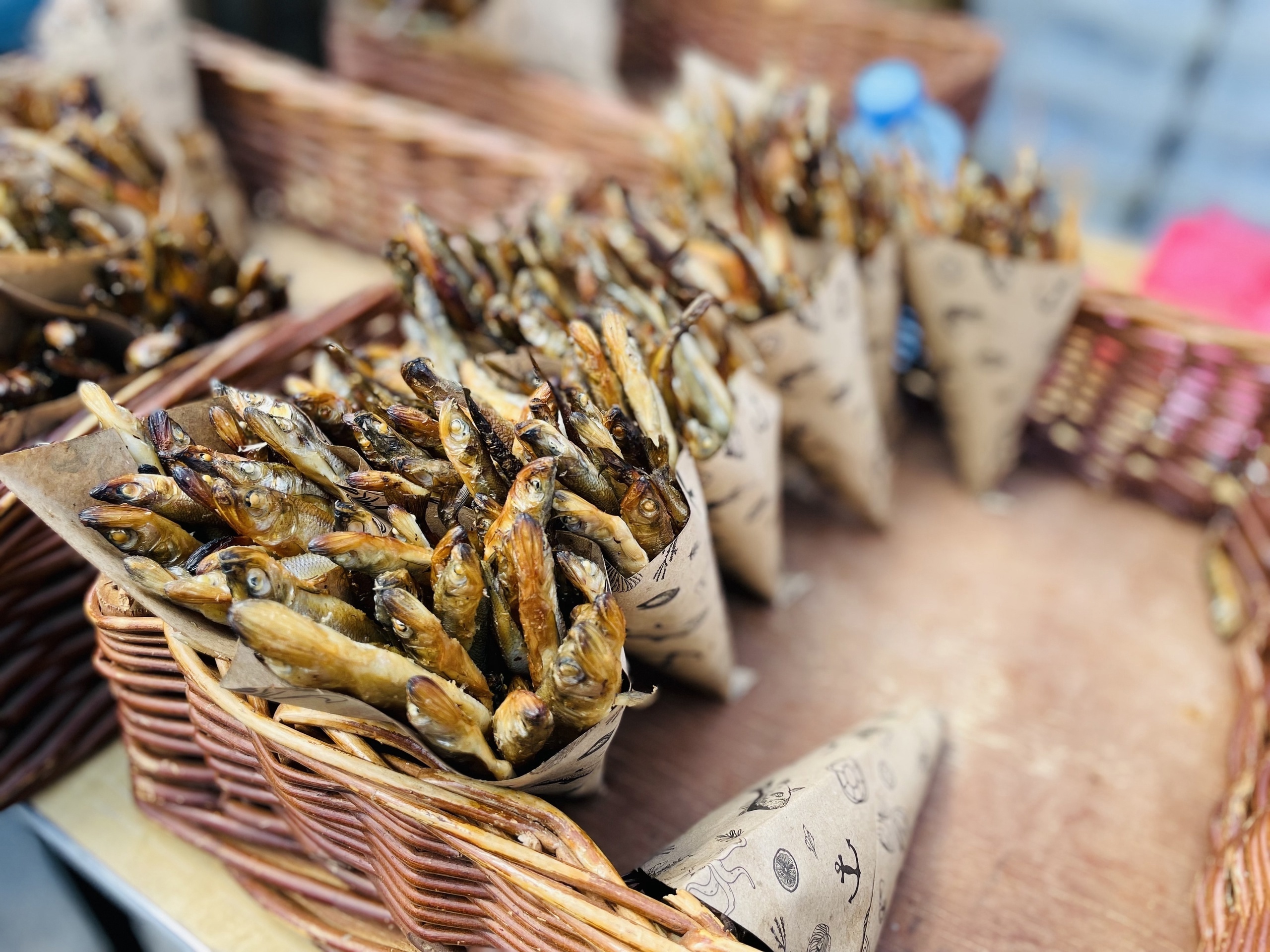 Фестиваль корюшки на Ладоге с прогулкой к водопаду (7/9)