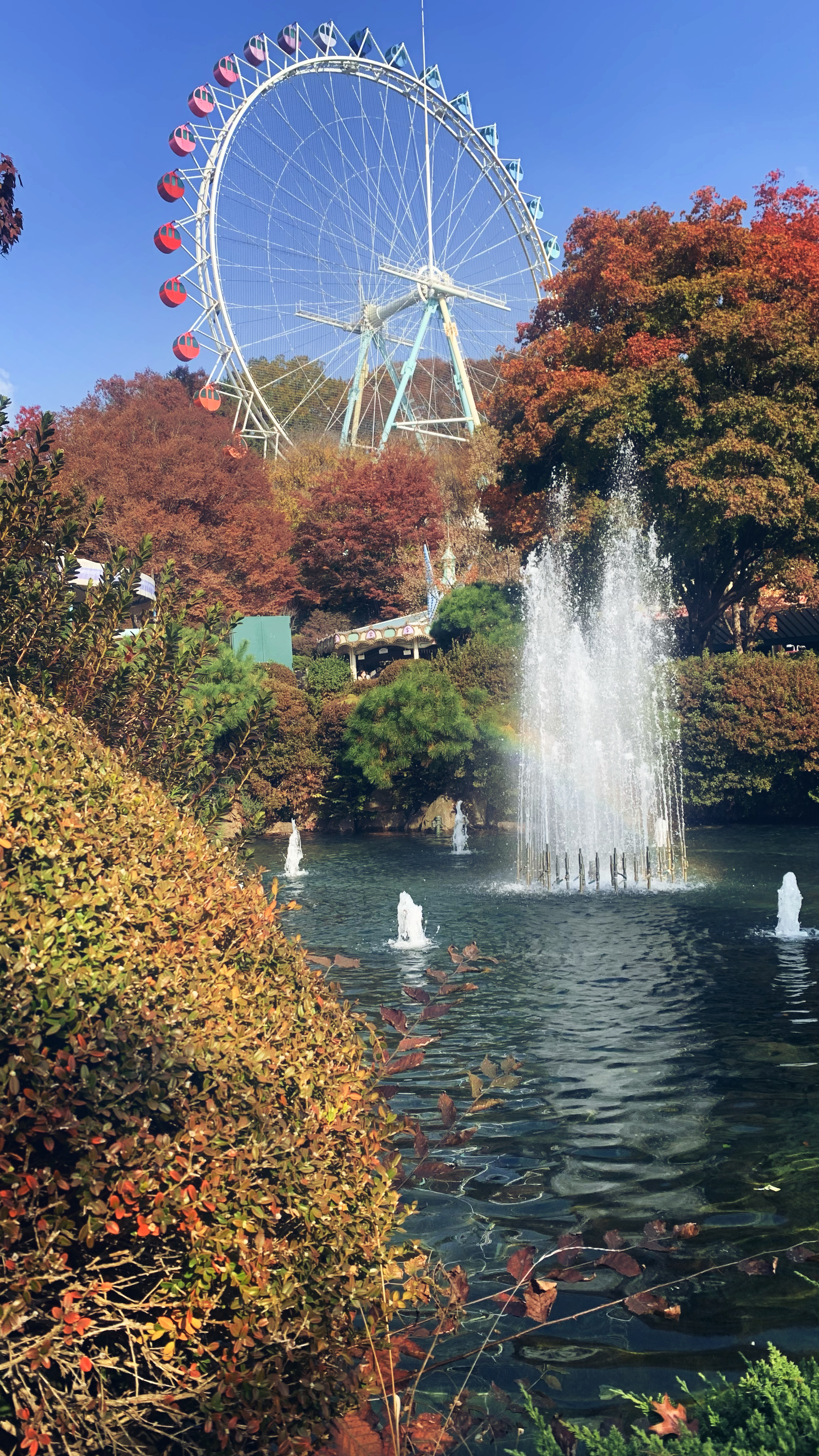 Сеул + фестиваль Water bomb (13/19)