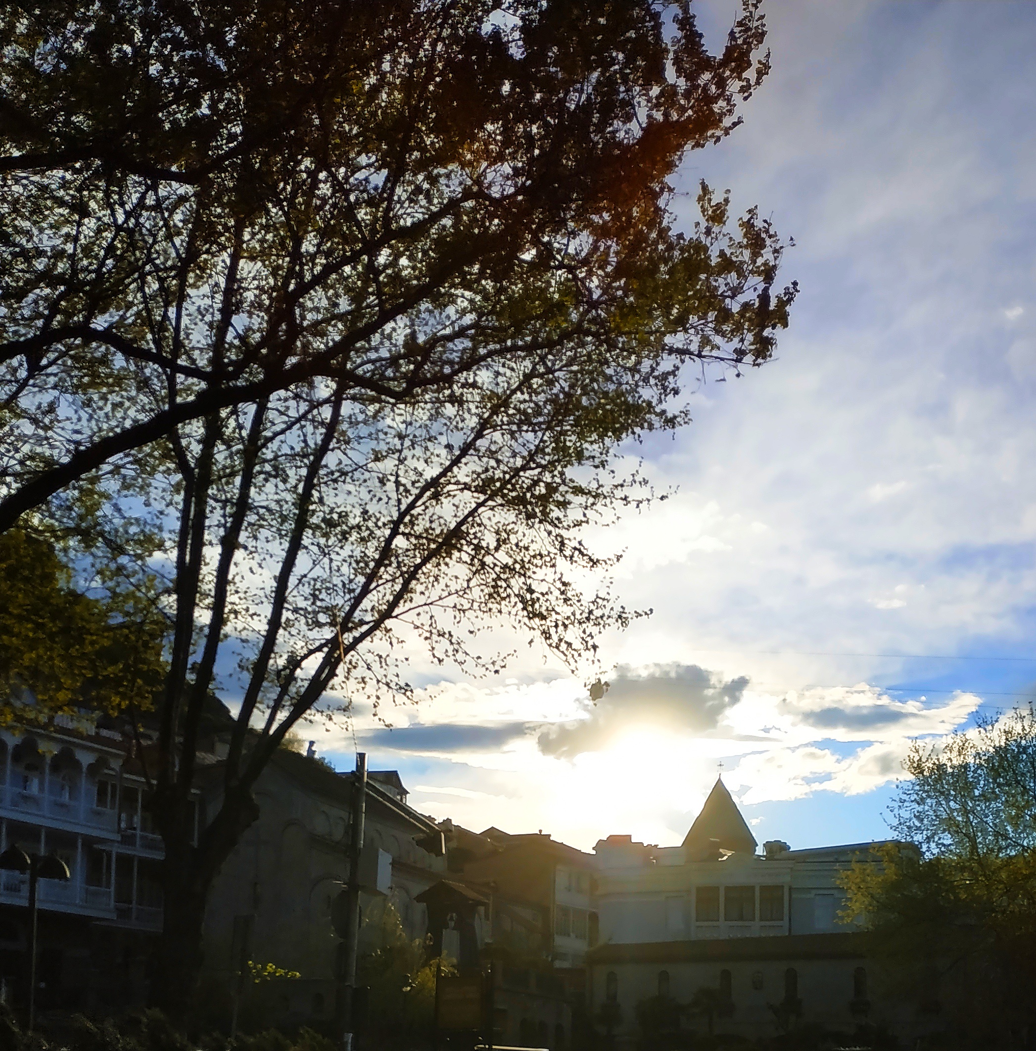 Мая Твая Грузия (24/26)