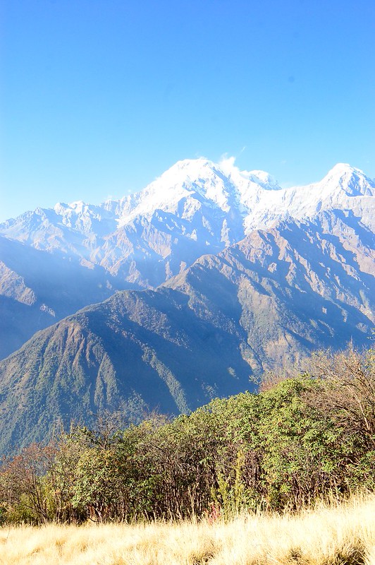 Mardi Himal Trek From Pokhara (5/11)