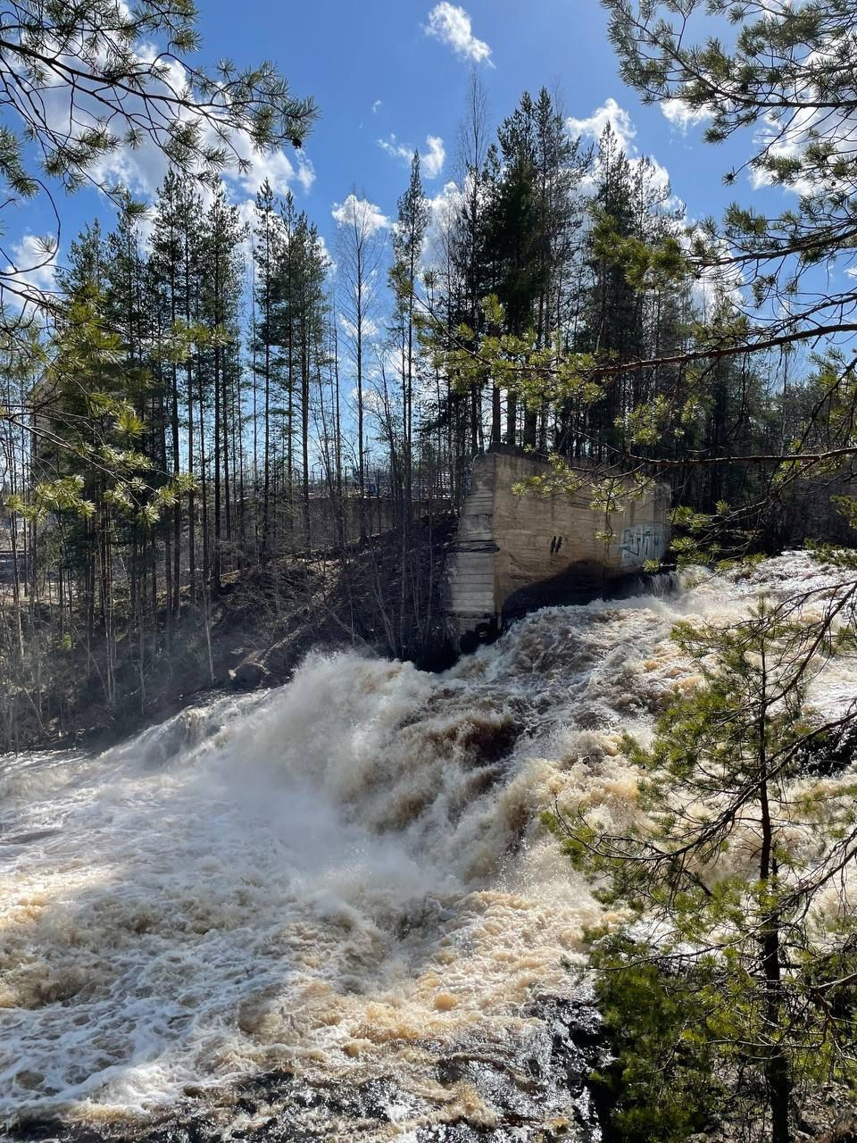 В Карелию На Июньские Праздники (16/17)
