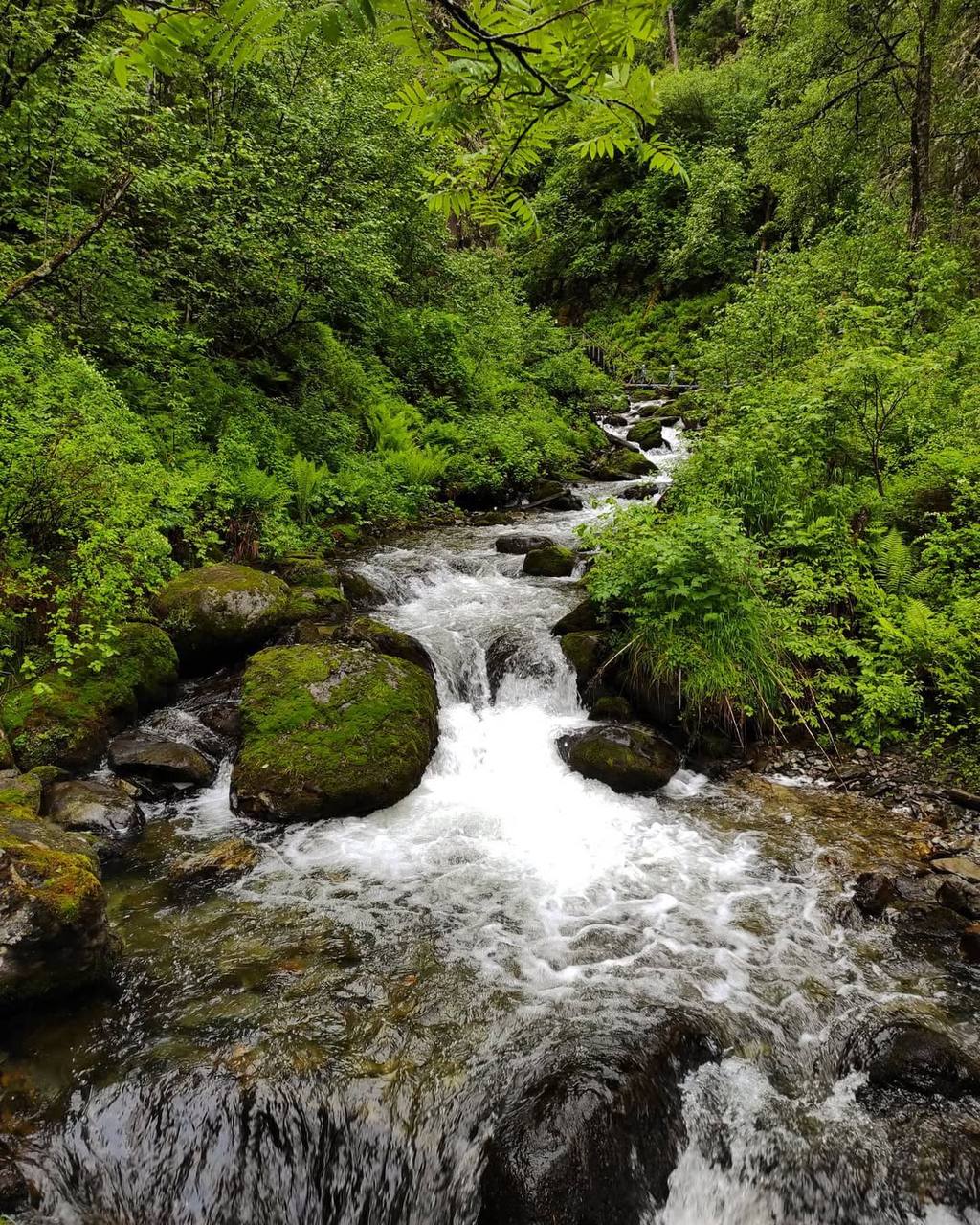 Золотое кольцо+Актру (18/21)