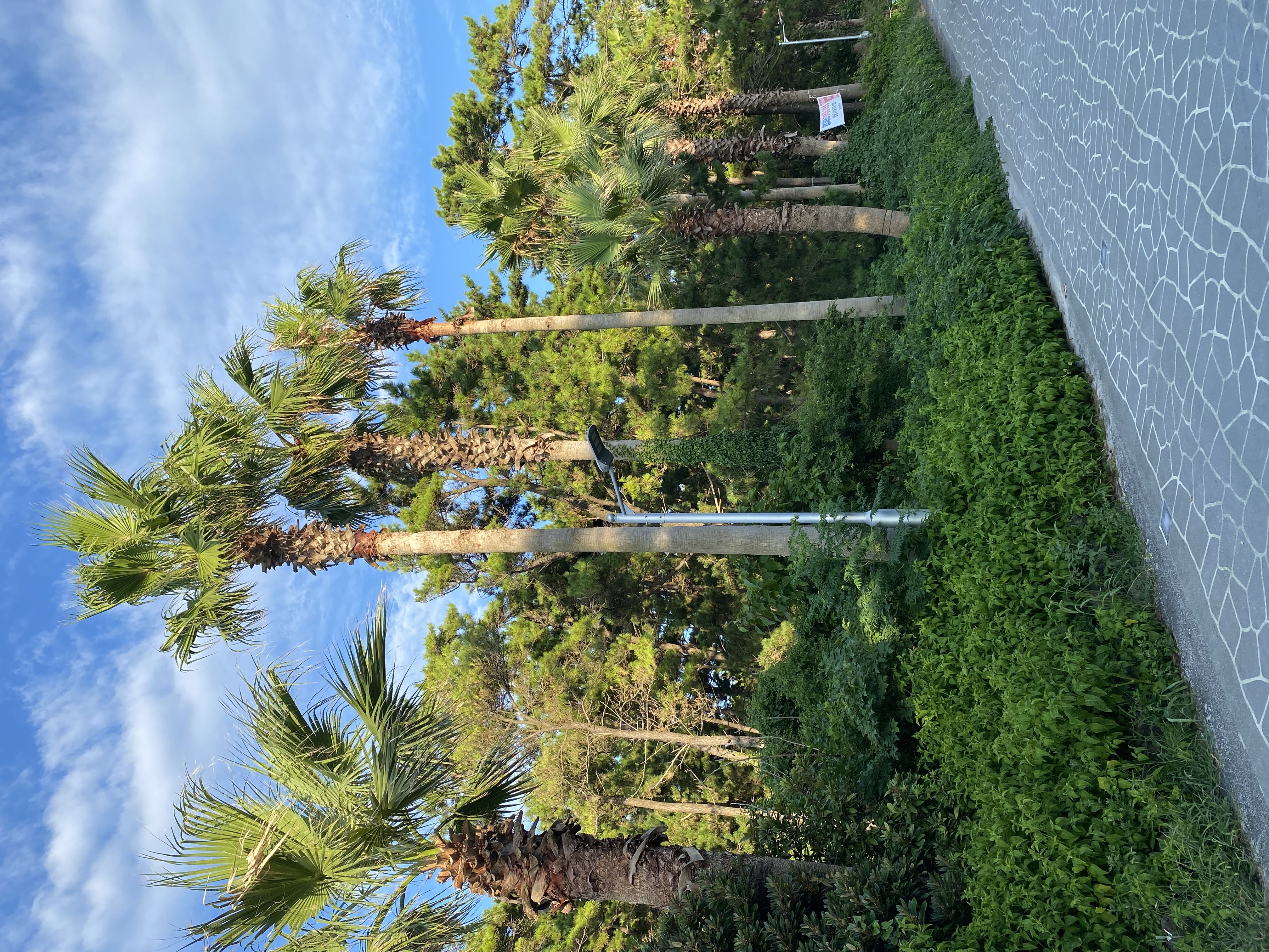 Корея: Чеджу+Пусан+Сеул (12/28)