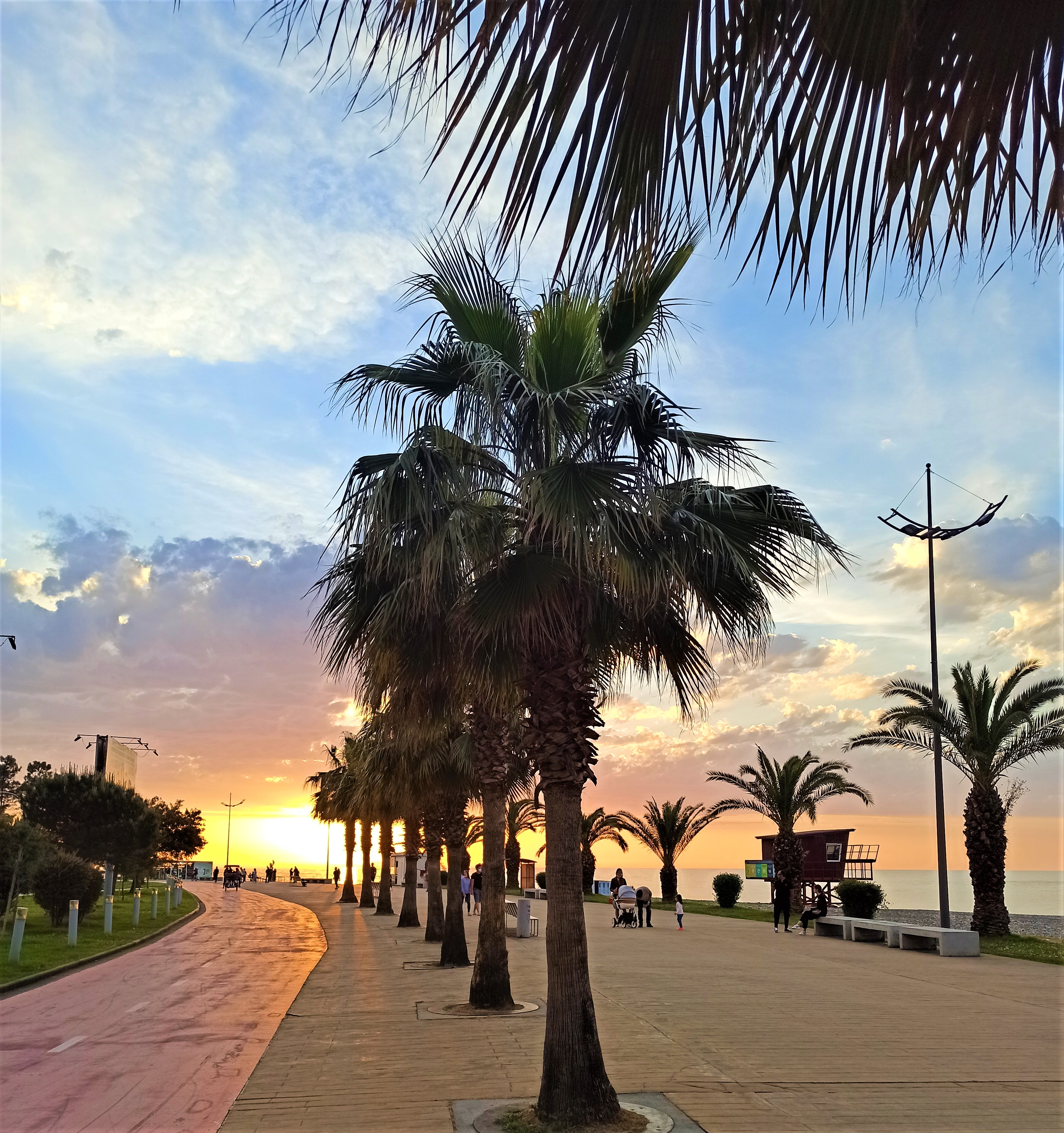 Мая Твая Грузия (3/26)