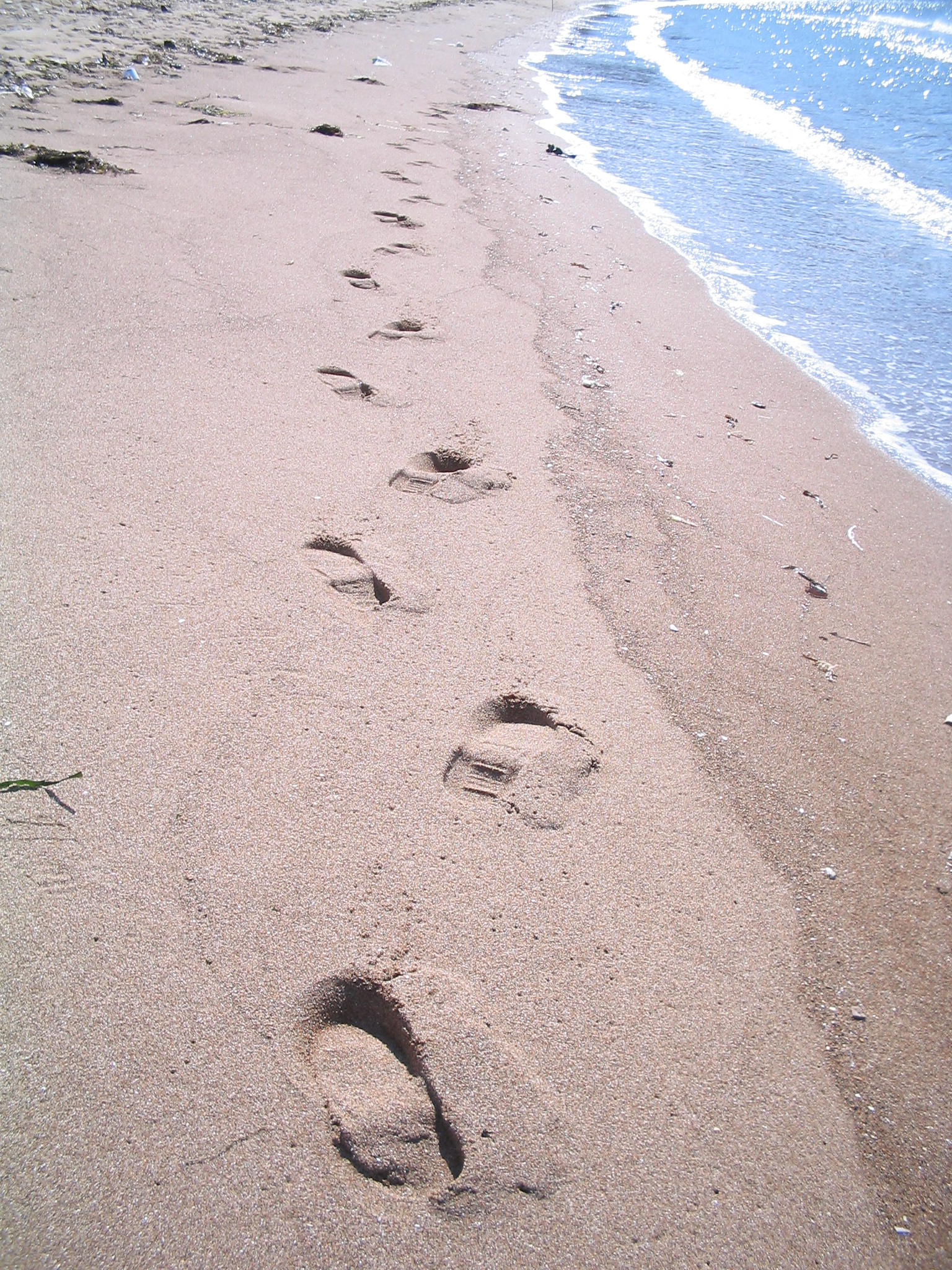 Тур выходного дня Остров Попова (5/8)