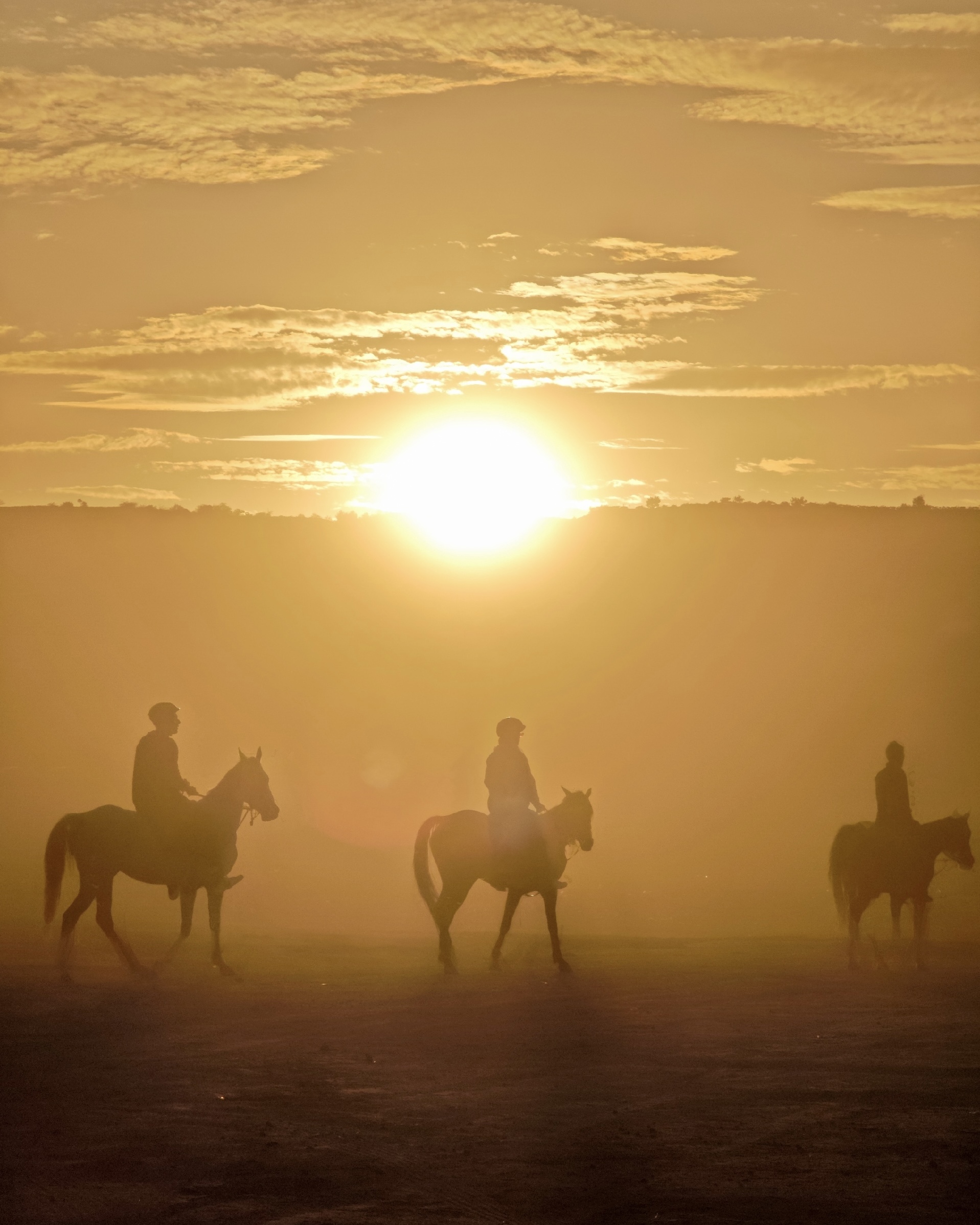Каппадокия Всё Включено (Фотография + Турецкая ночь) (18/26)