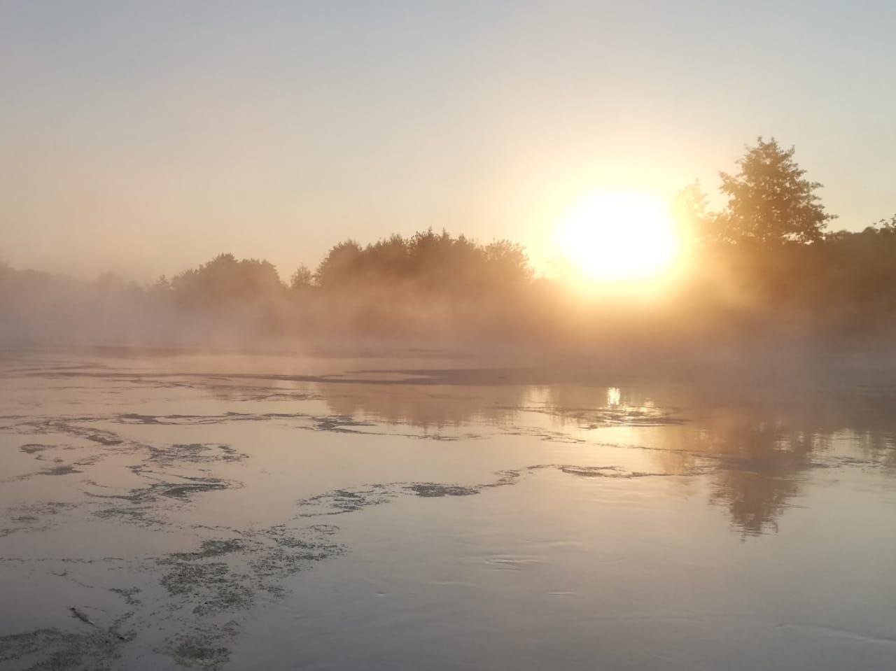 Один день  Цигун  в  Dao View - Ясные просторы (24/37)