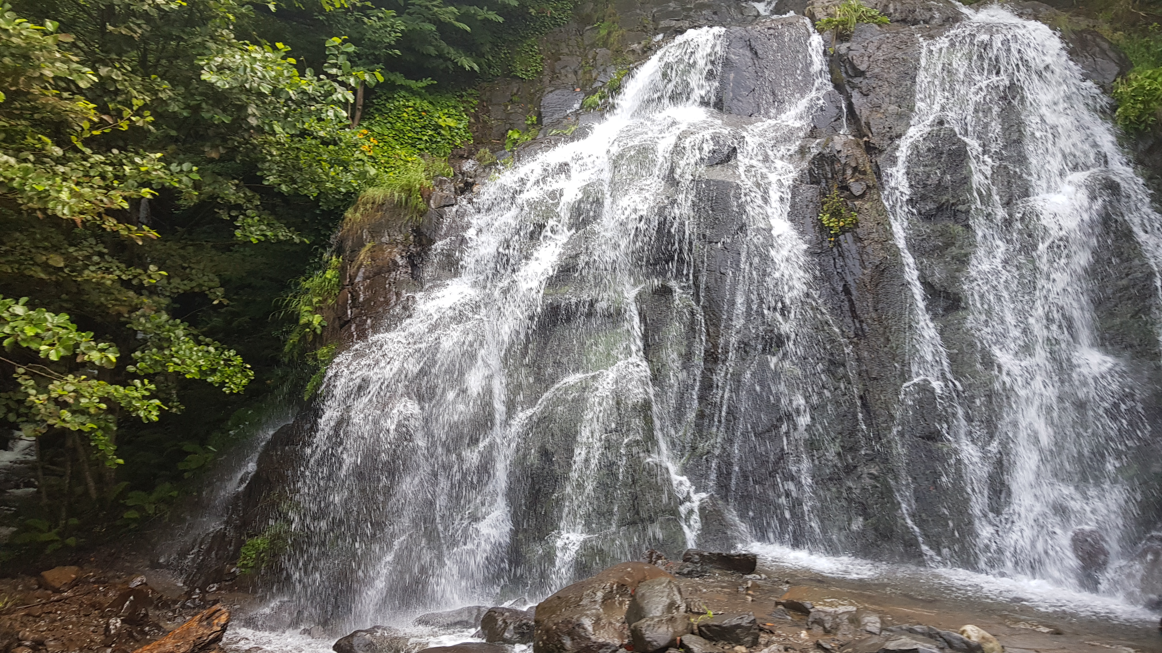 Мая Твая Грузия (7/26)