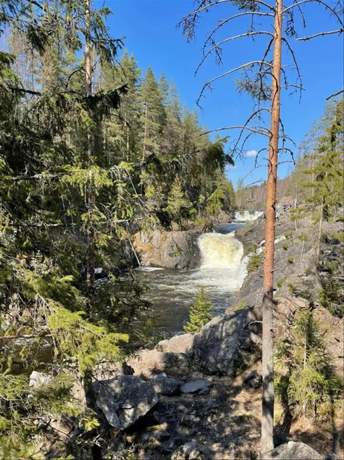 В Карелию На Июньские Праздники (15/17)