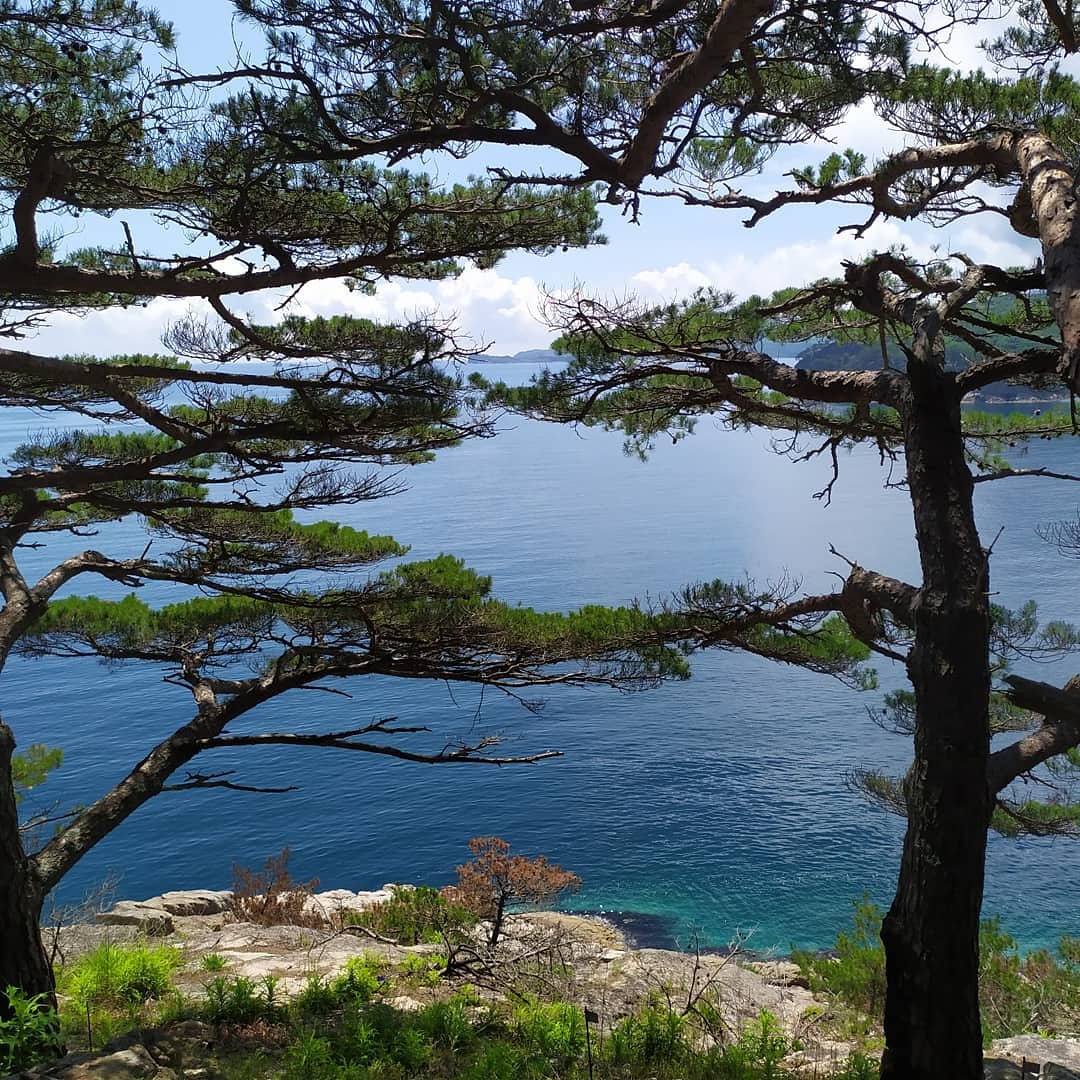 Тур Восточный участок  гроты, сосны Бонсай и лазоревое море (8/13)