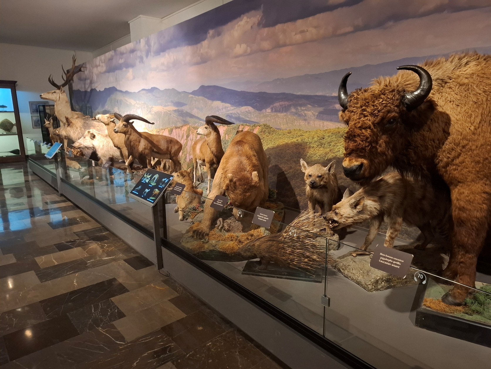 В Грузию с комфортом и без спешки! (29/35)