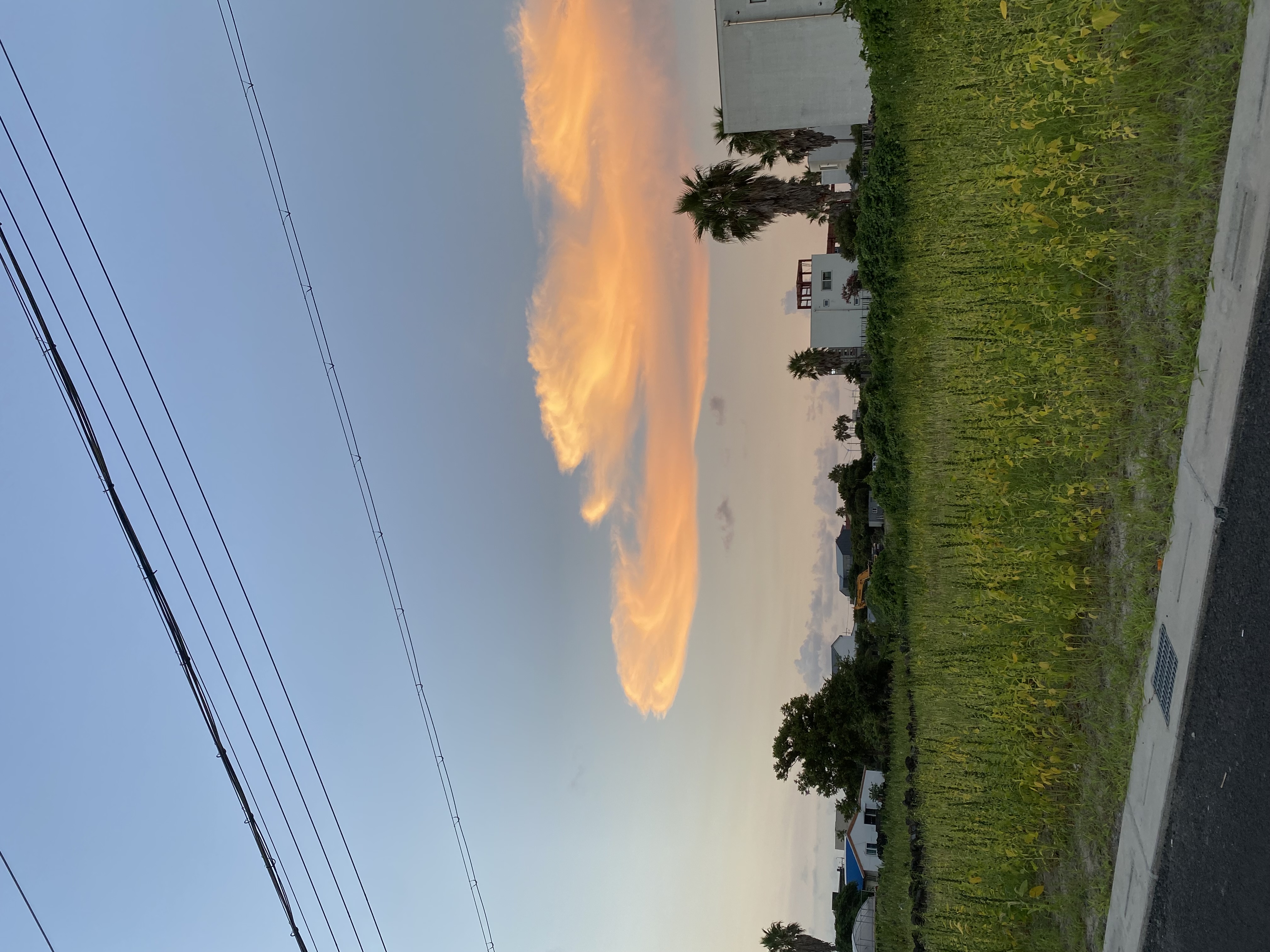 Сеул + фестиваль Water bomb (5/19)