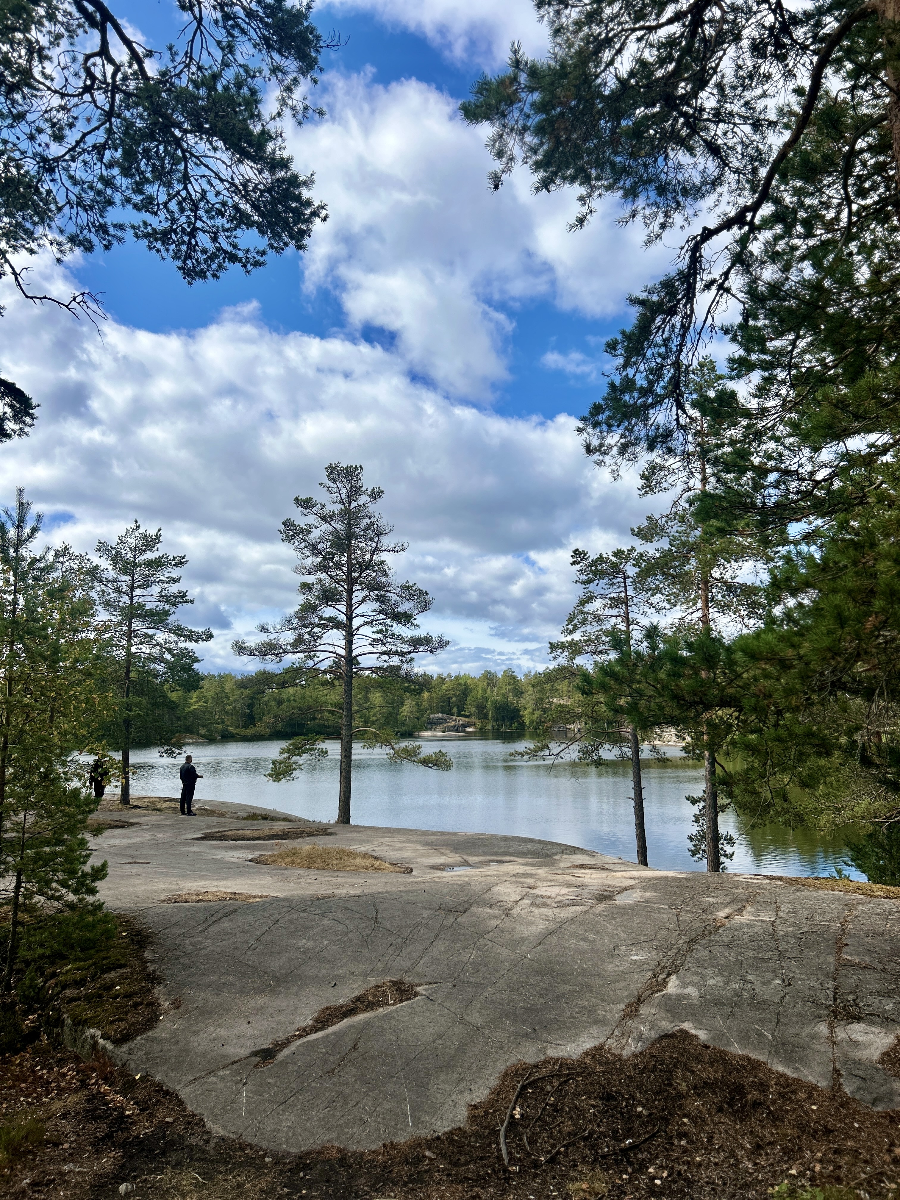 Уникальная Карелия: заповедные места , уютный глэмпинг и активности. Мини группа (37/45)