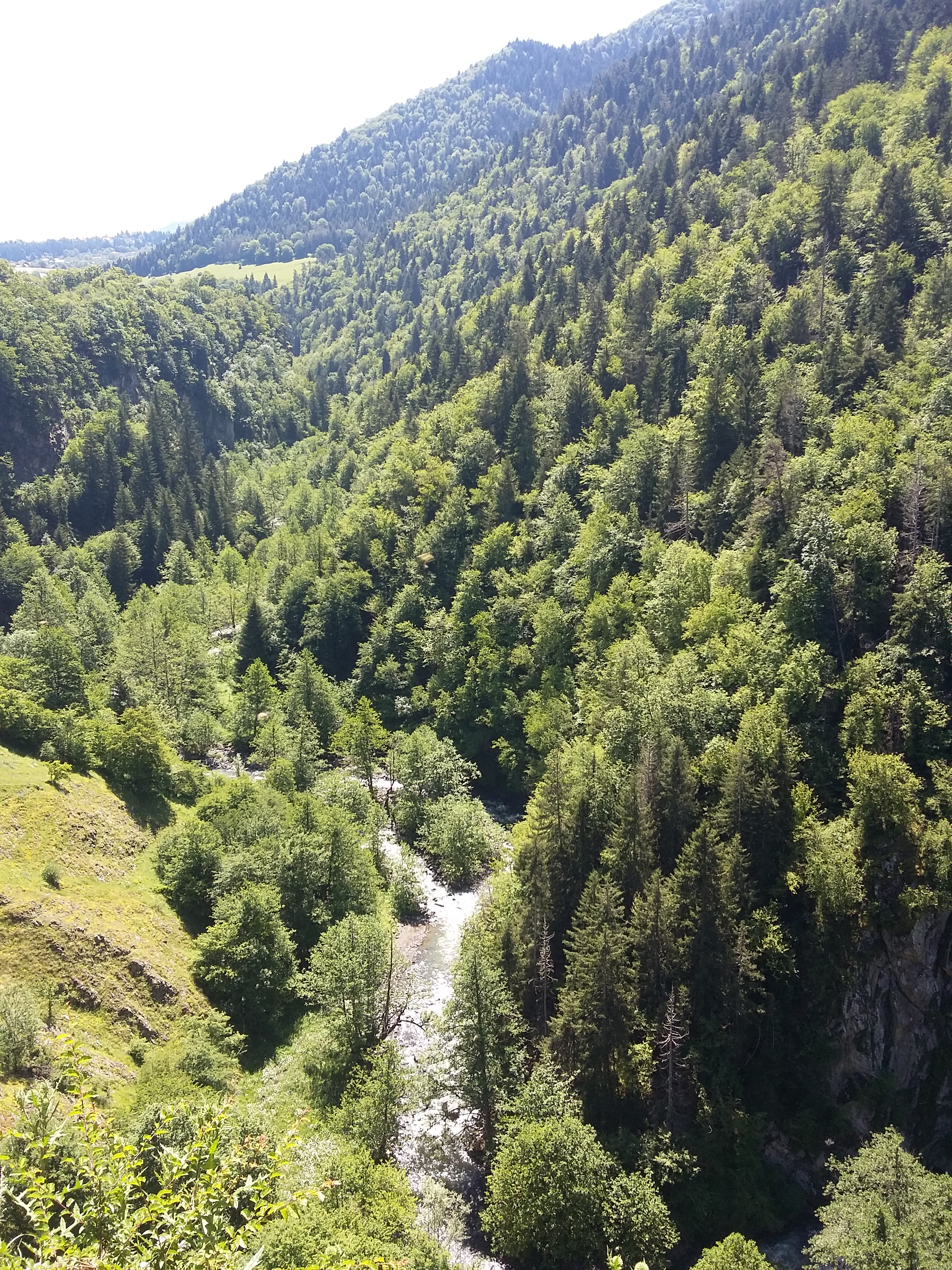 Мая Твая Грузия (14/26)