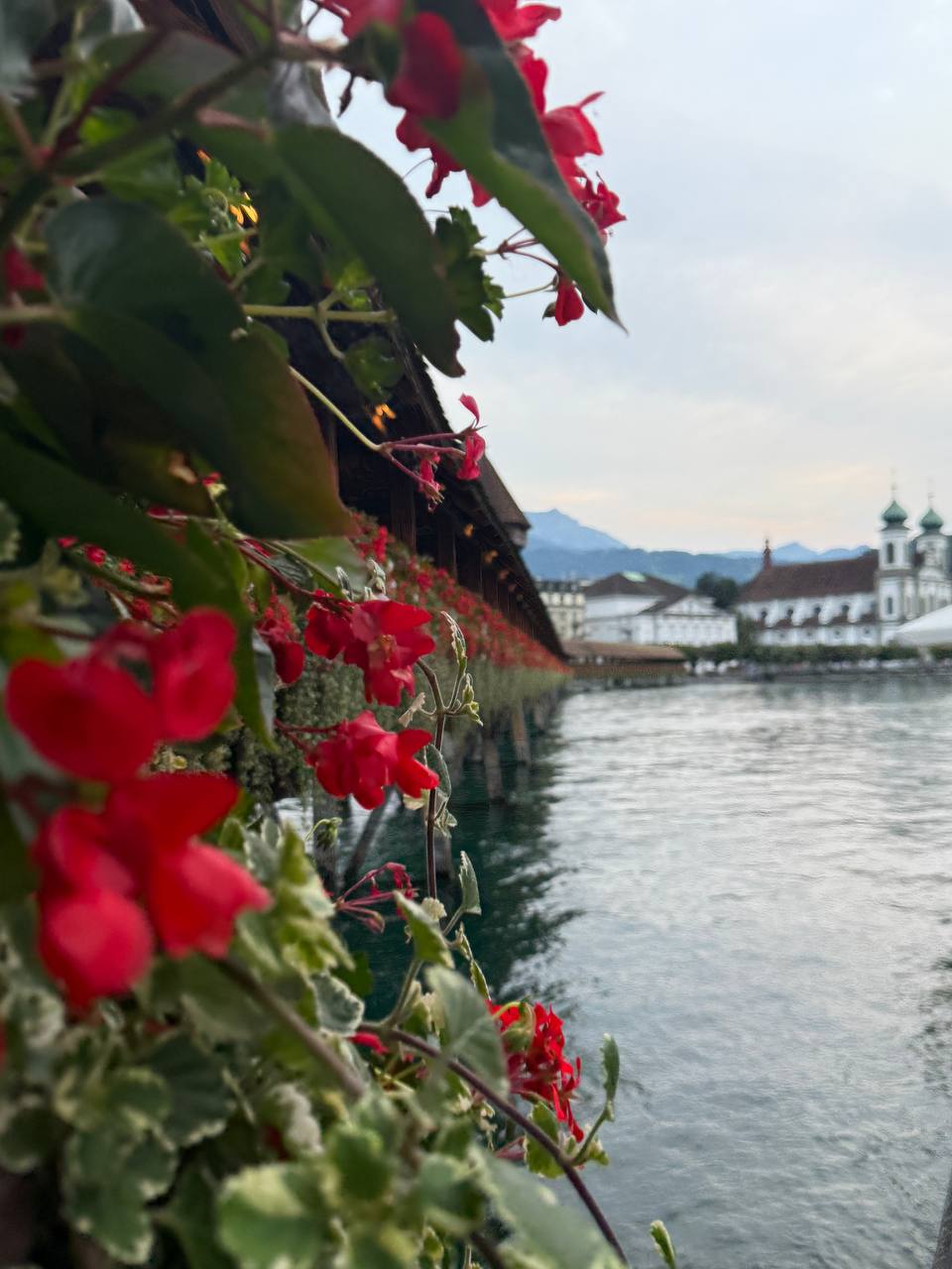 Швейцария + Италия - путешествие мечты (18/18)