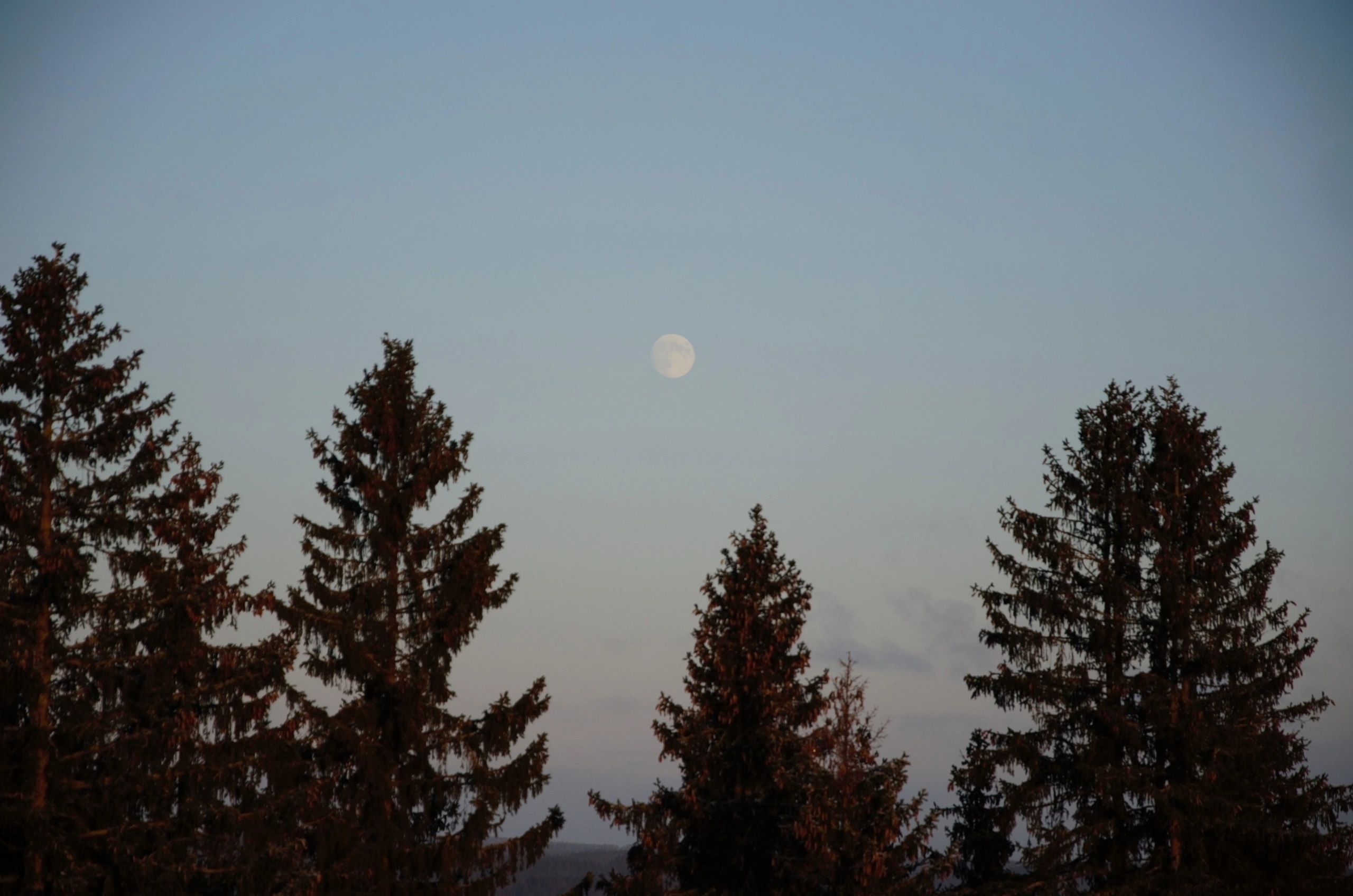 Тур в Кижи зимой из Петрозаводска (8/9)