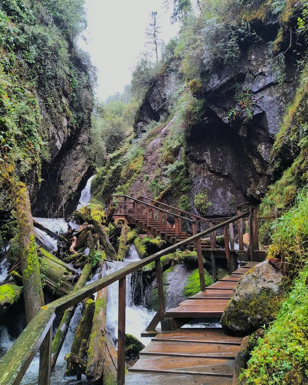 Золотое кольцо+Актру (17/21)